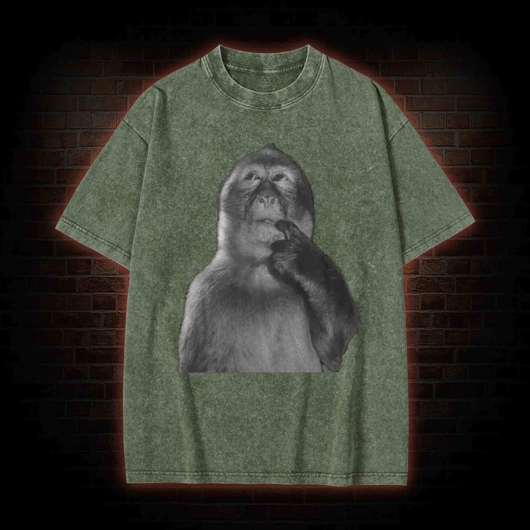Funny Monkey Washed T-shirt