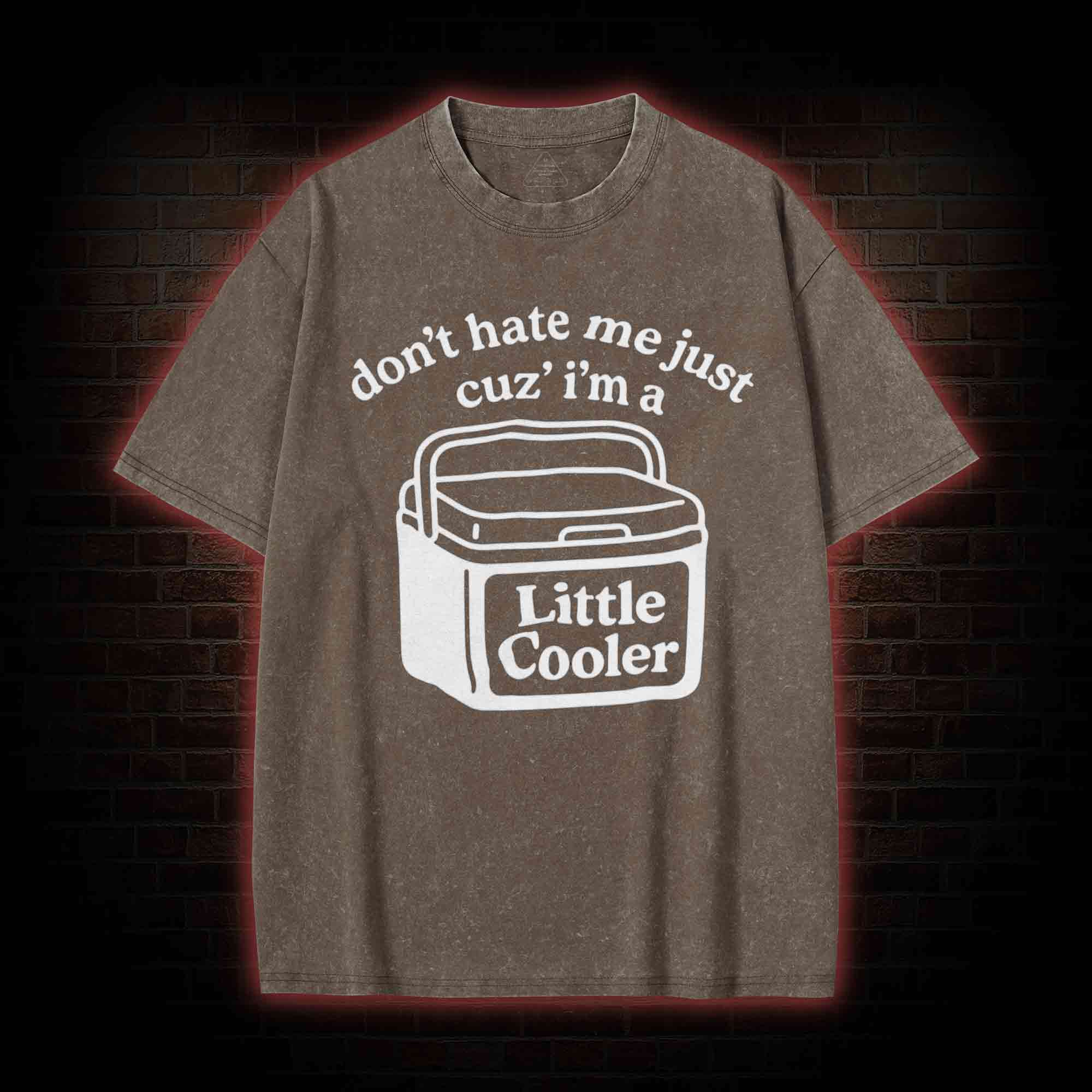 Don't Hate Me Cuz I'm a Little Cooler Washed T-shirt