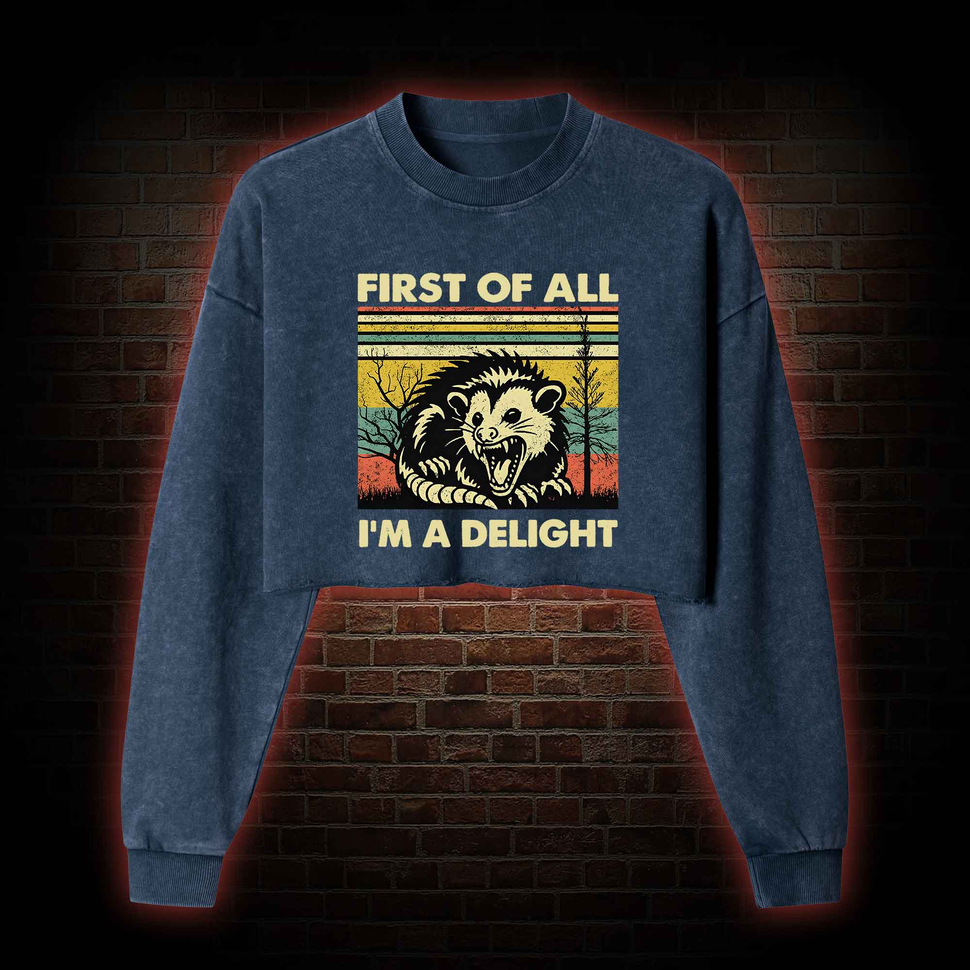 I'm A Delight Washed Cropped Sweatshirts