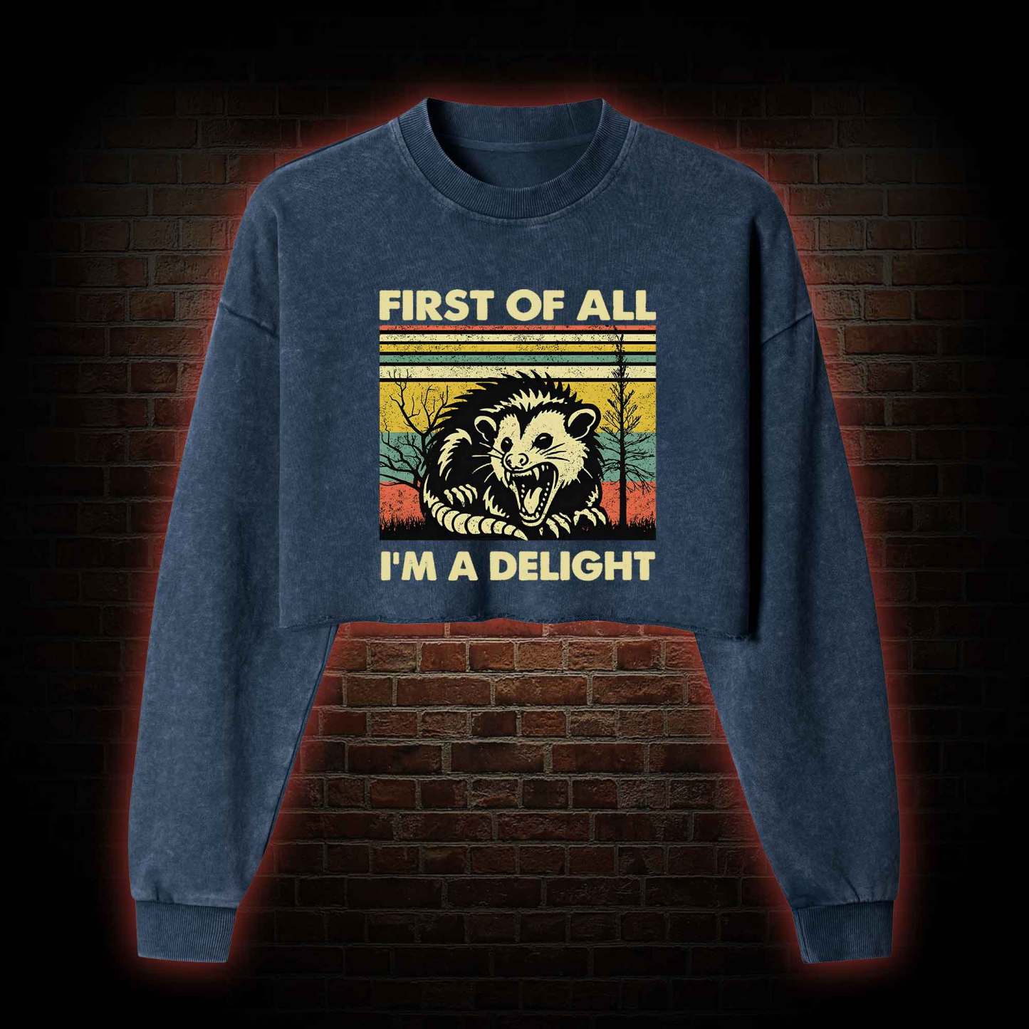 I'm A Delight Washed Cropped Sweatshirts