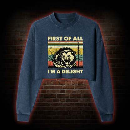 I'm A Delight Washed Cropped Sweatshirts
