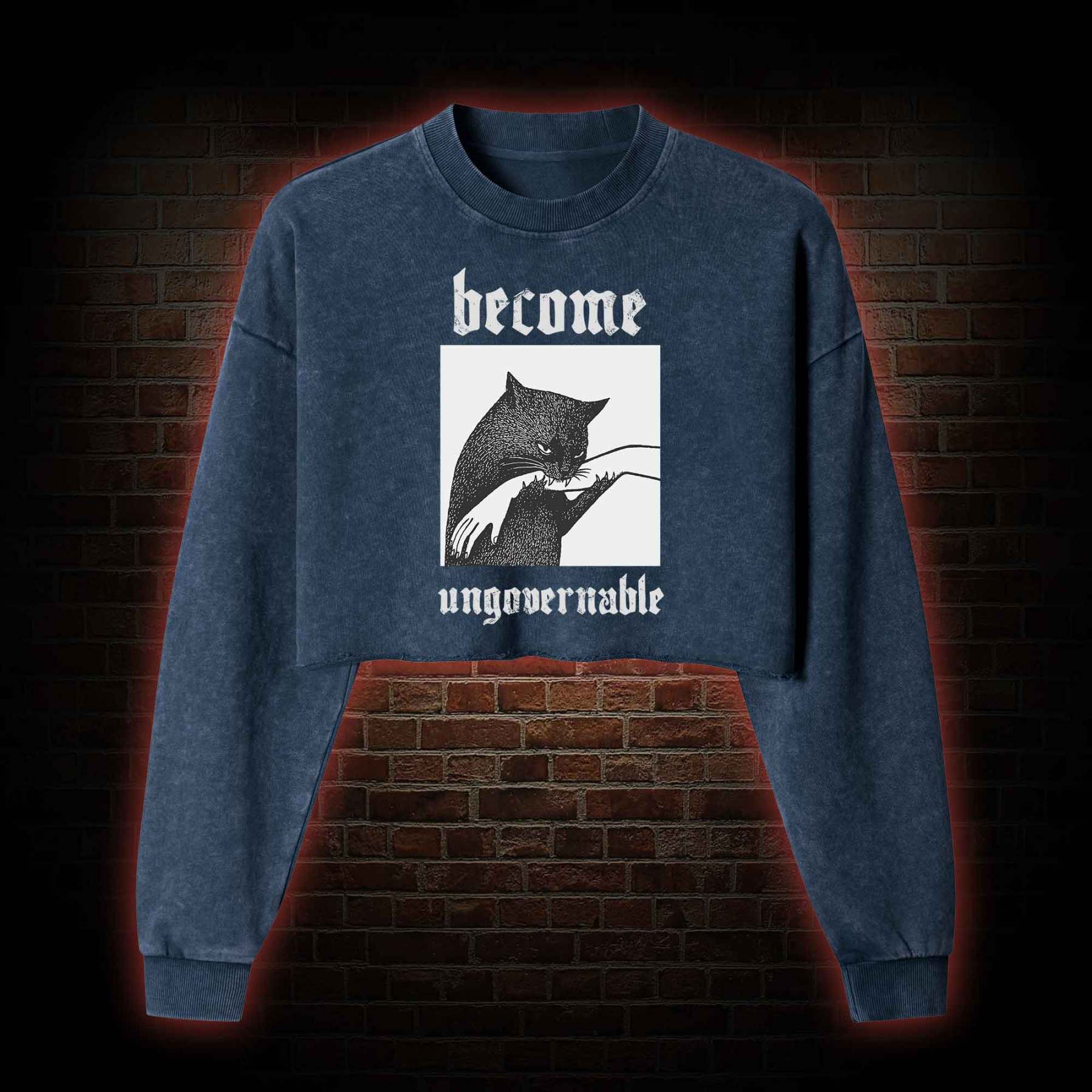 Silly Cats Washed Cropped Sweatshirts