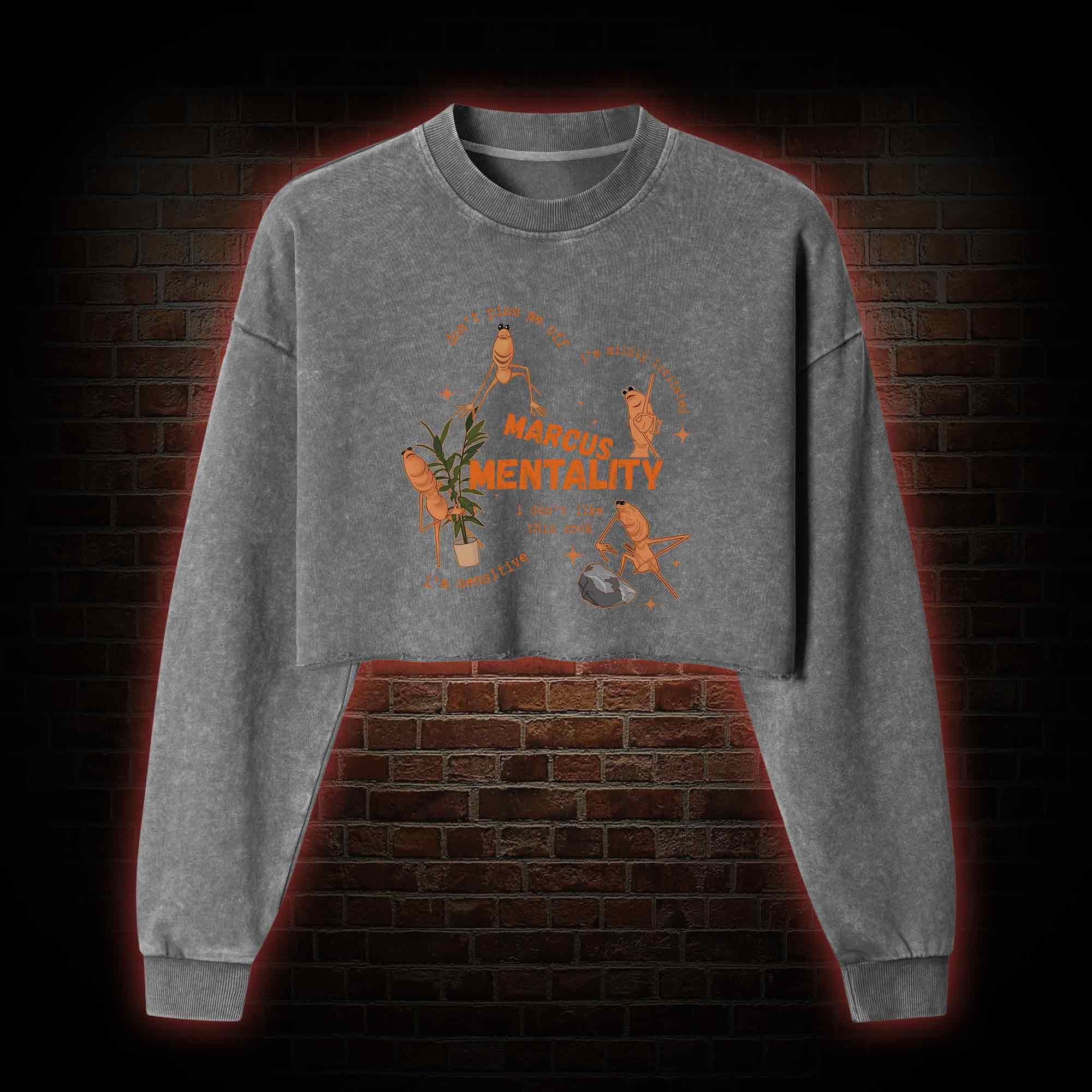 Marcus the Worm Washed Cropped Sweatshirts