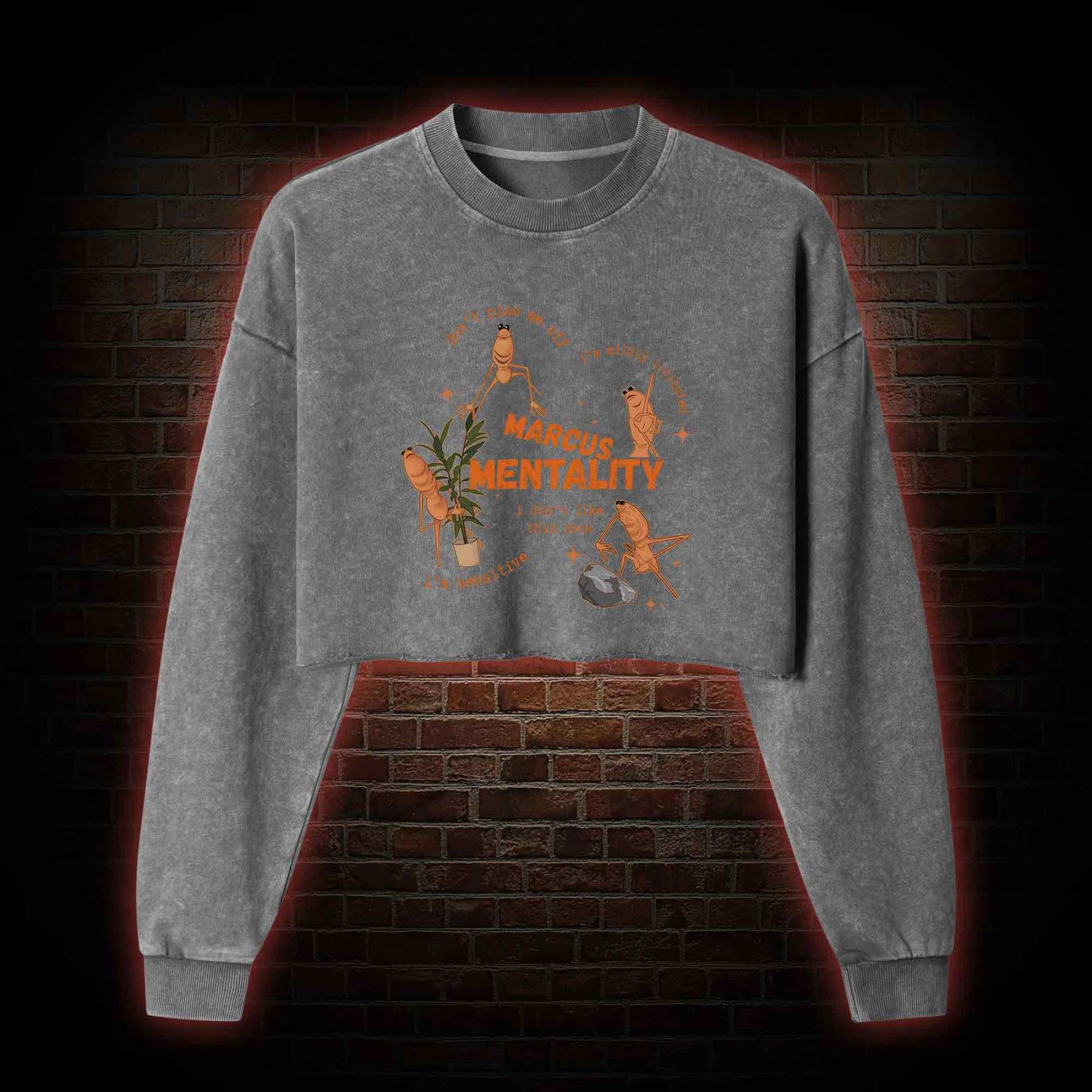 Marcus the Worm Washed Cropped Sweatshirts