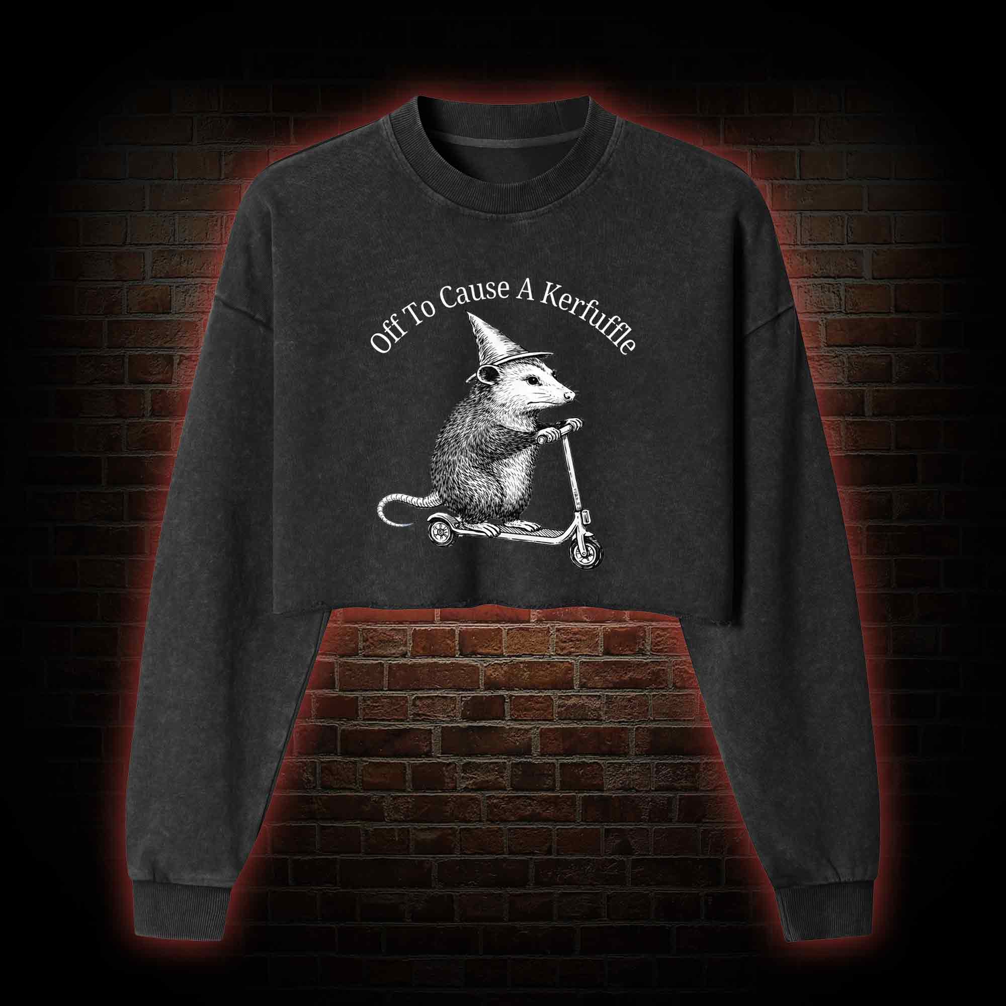 Cause a Kerfuffle Washed Cropped Sweatshirts