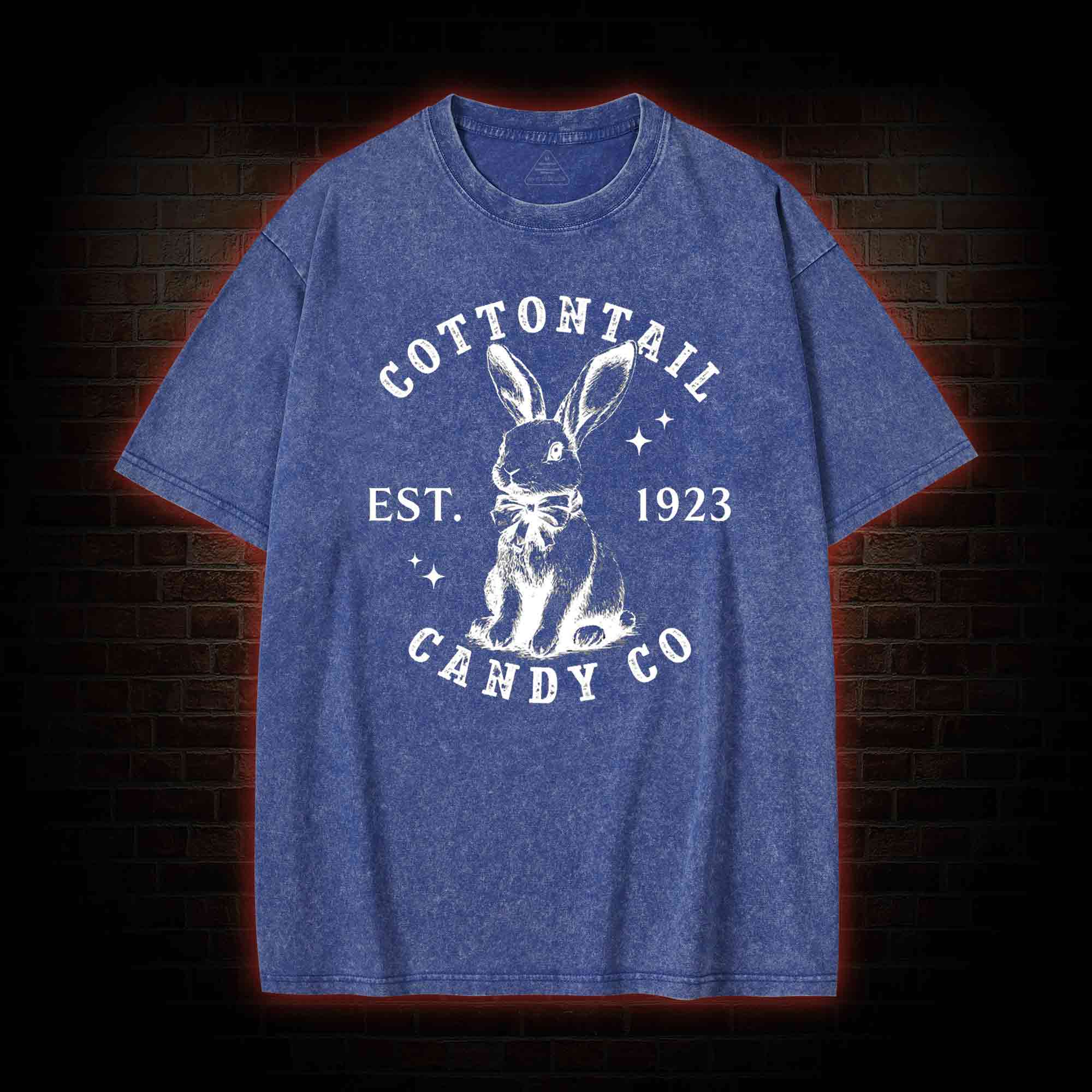 Easter Day Washed T-shirt