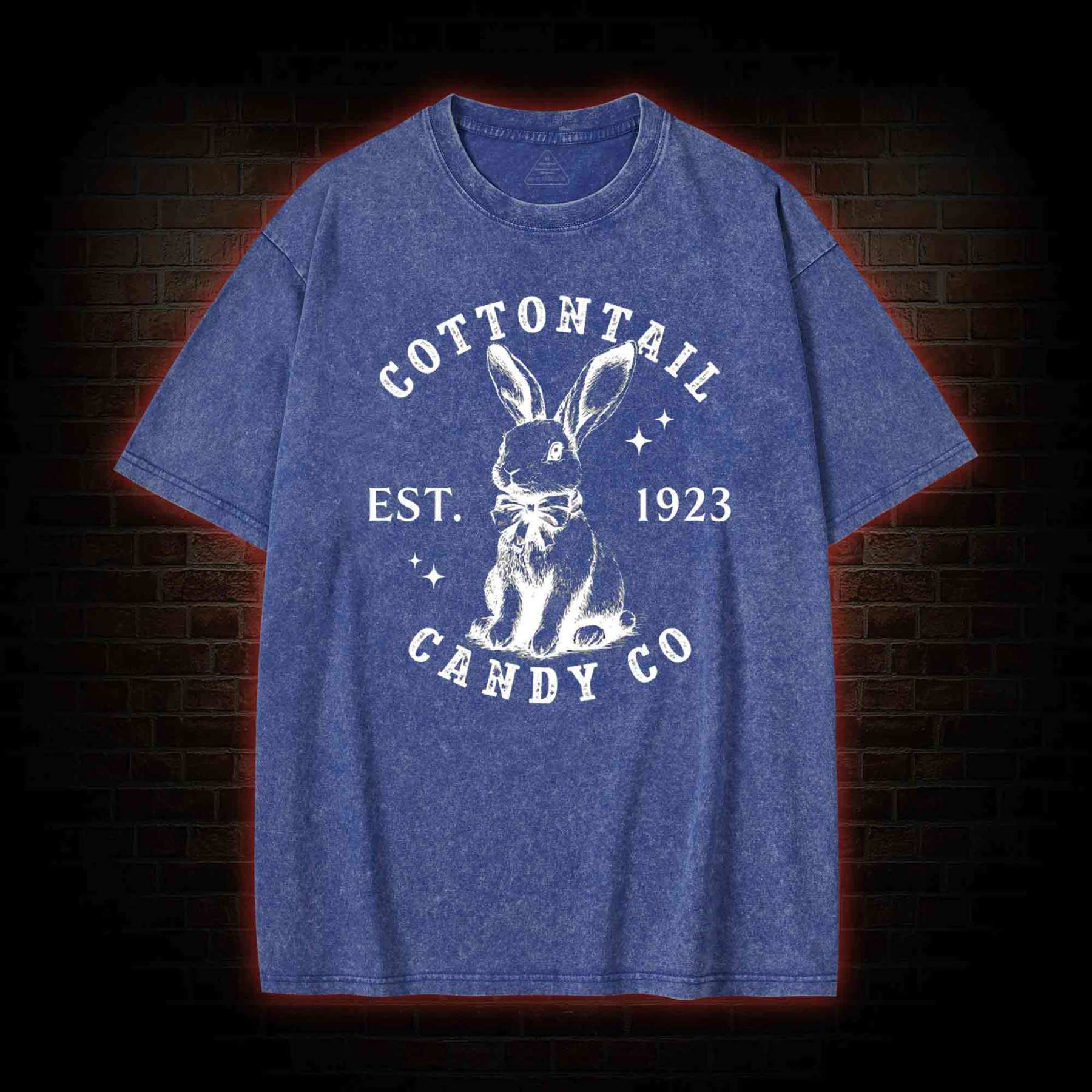 Easter Day Washed T-shirt