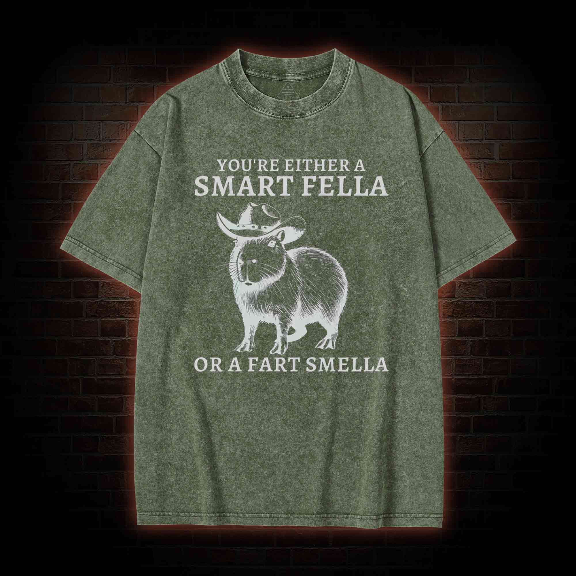 Smart Fella Capybara Washed T-shirt