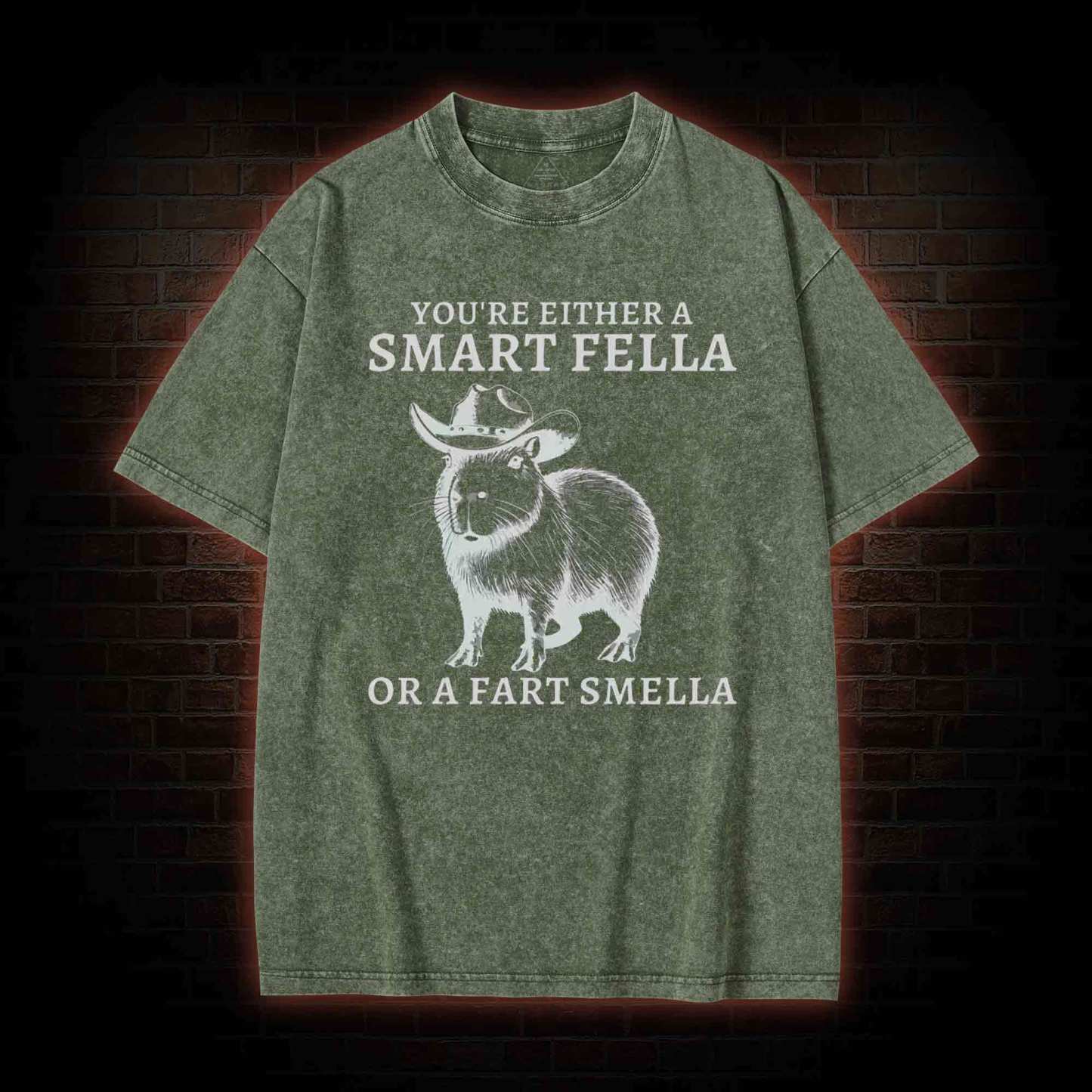 Smart Fella Capybara Washed T-shirt