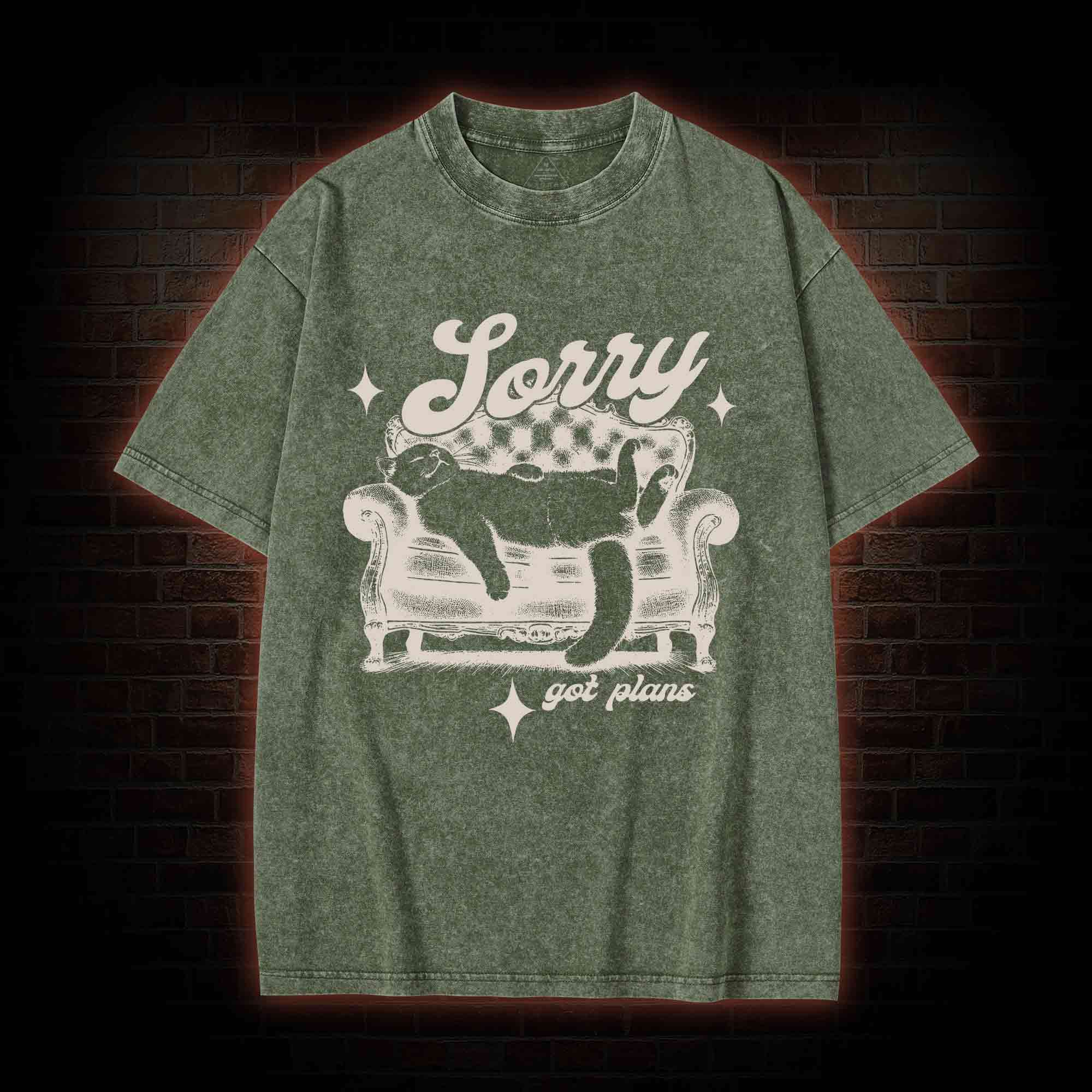 Sorry Got Plan Washed T-shirt
