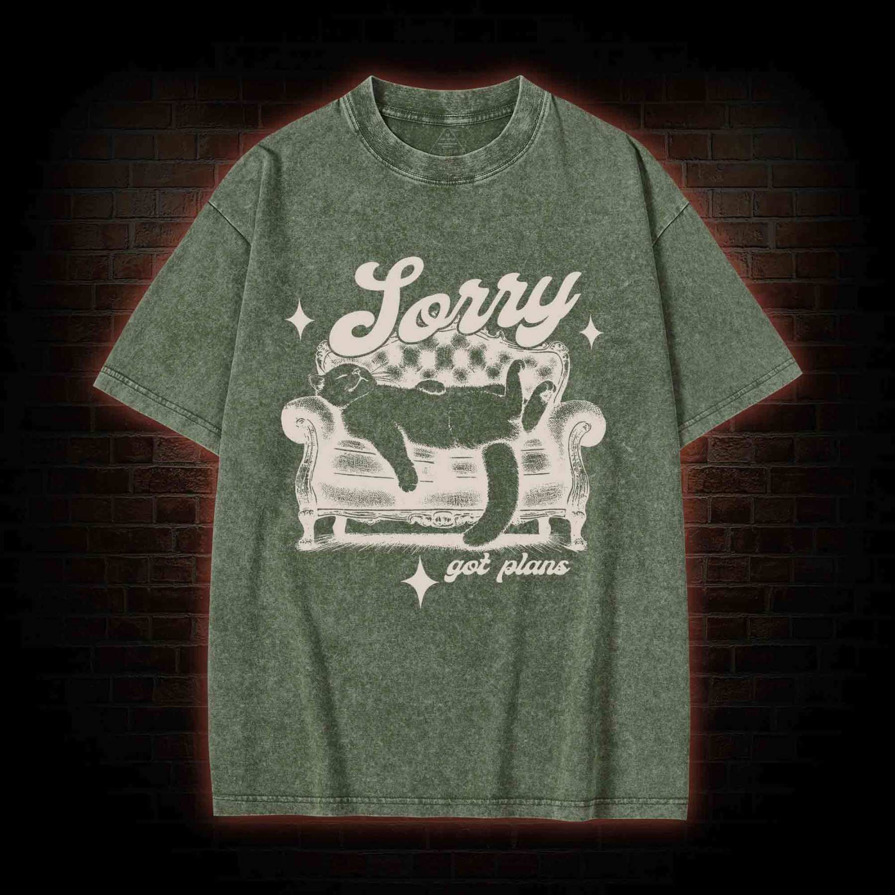 Sorry Got Plan Washed T-shirt
