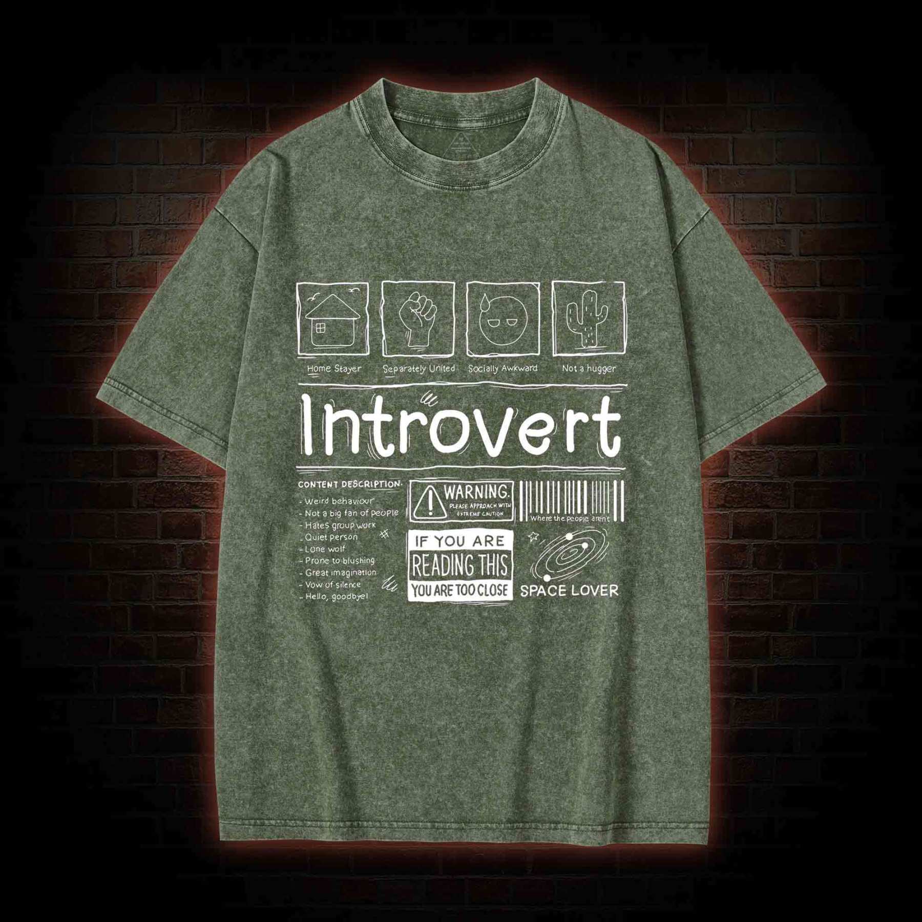 Introvert Washed T-shirt