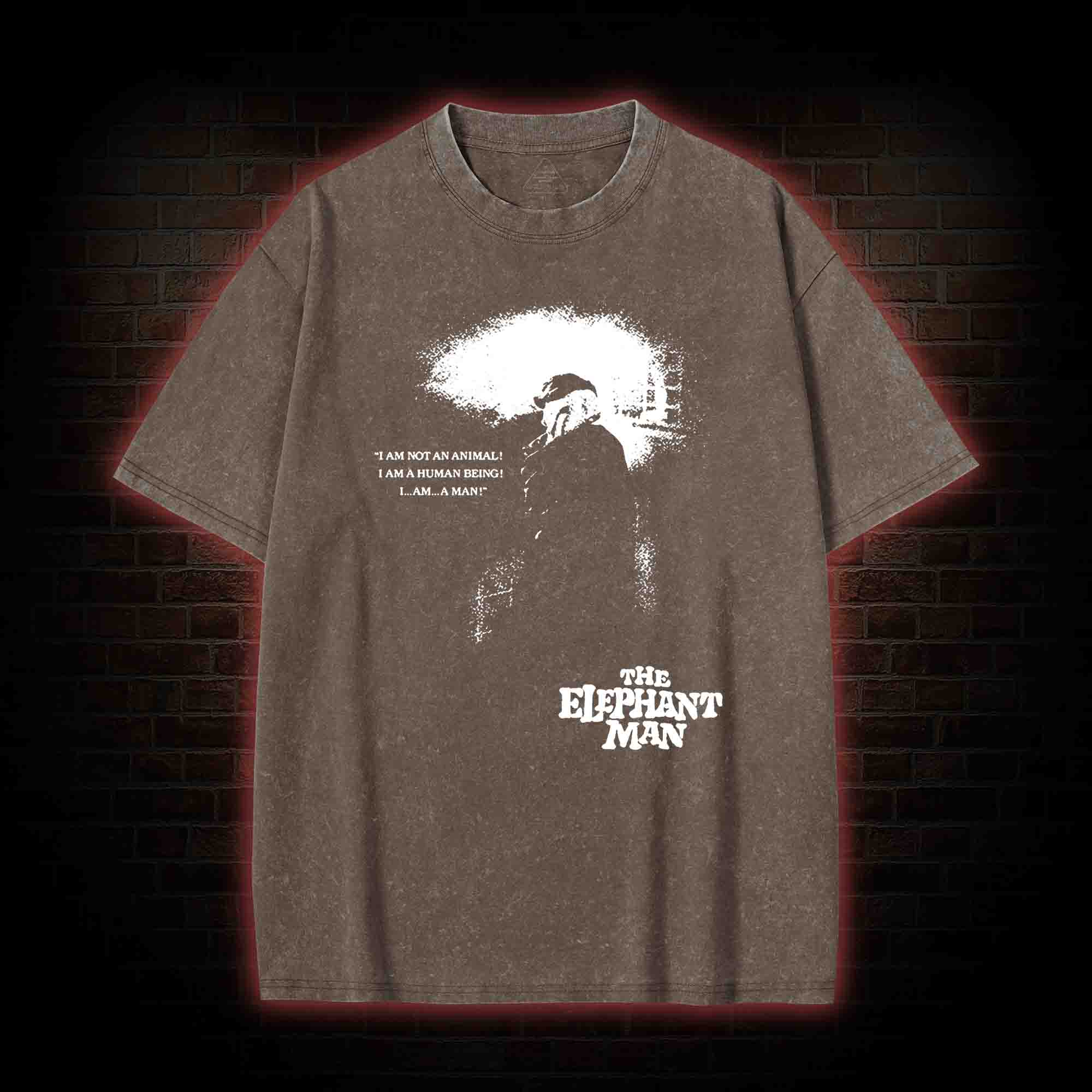 I am a Human Being Washed T-shirt