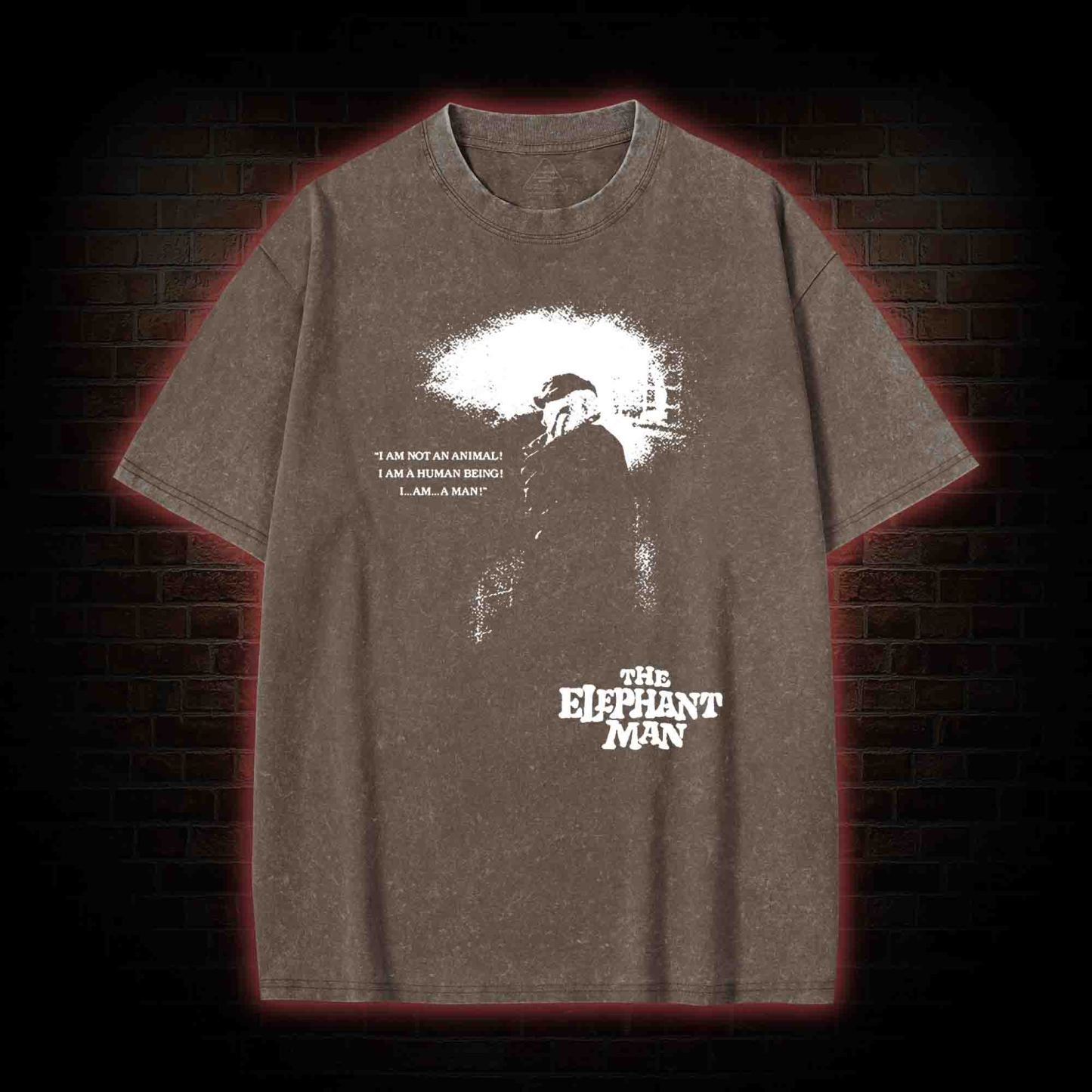 I am a Human Being Washed T-shirt