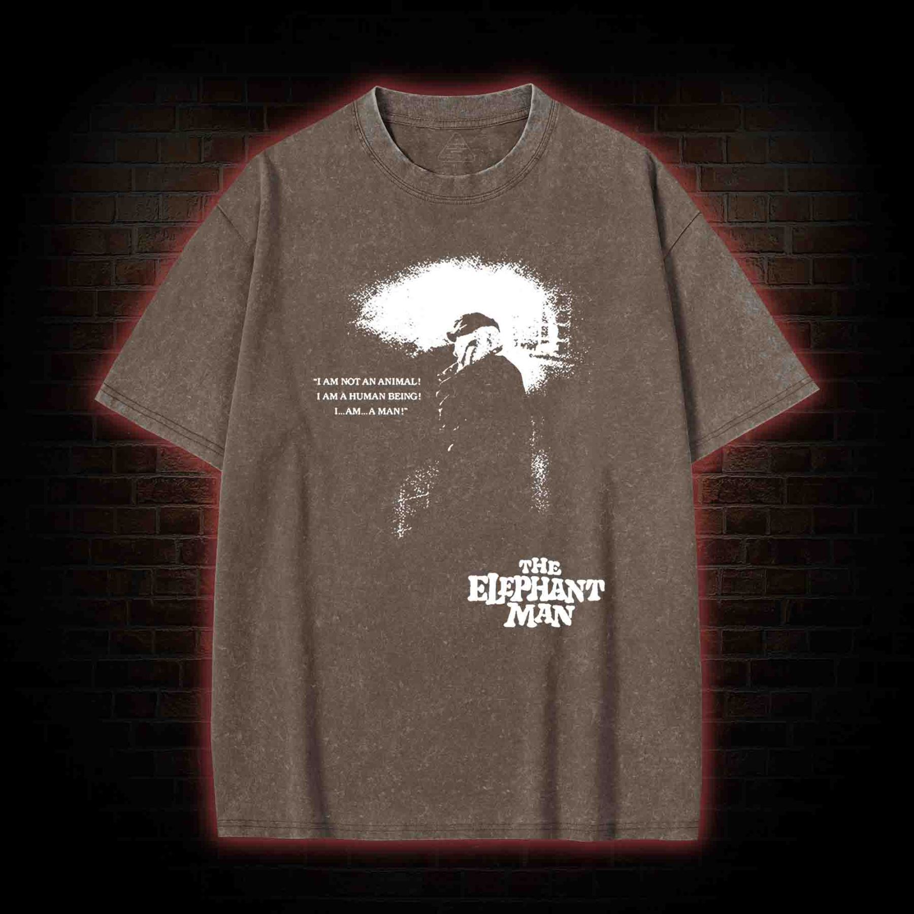 I am a Human Being Washed T-shirt