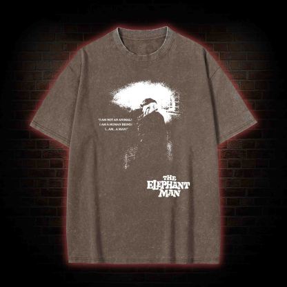 I am a Human Being Washed T-shirt