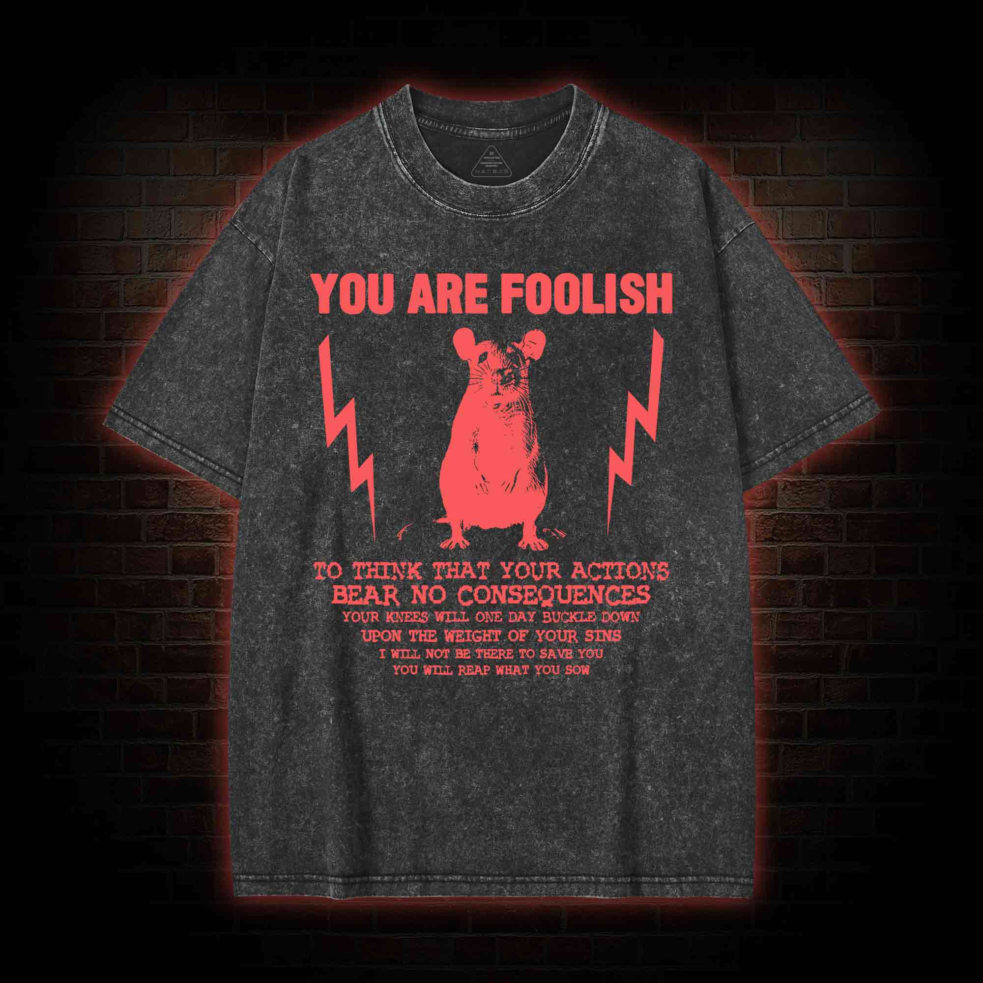 You Are Foolish Washed T-shirt