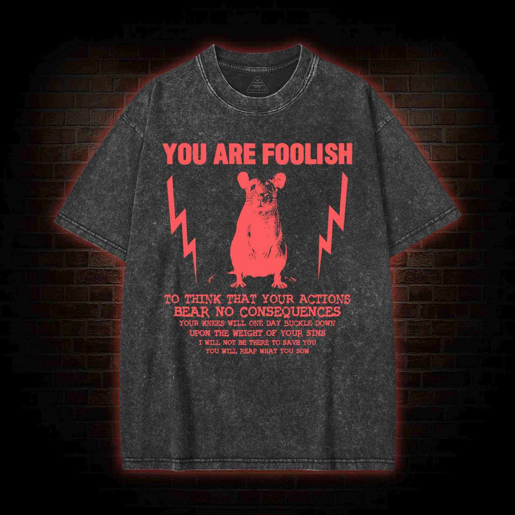 You Are Foolish Washed T-shirt