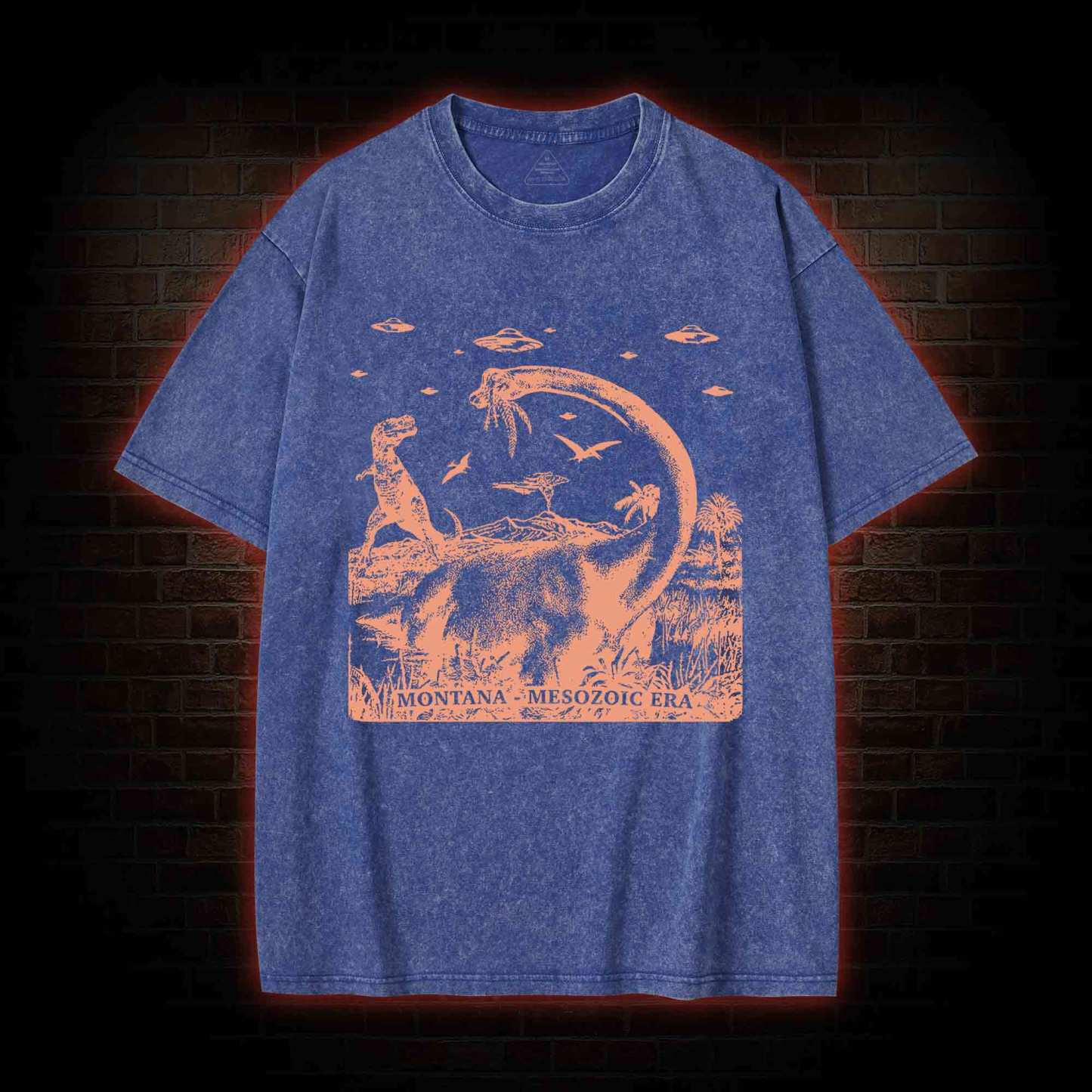 Montana Mesozoic Era Washed T-shirt