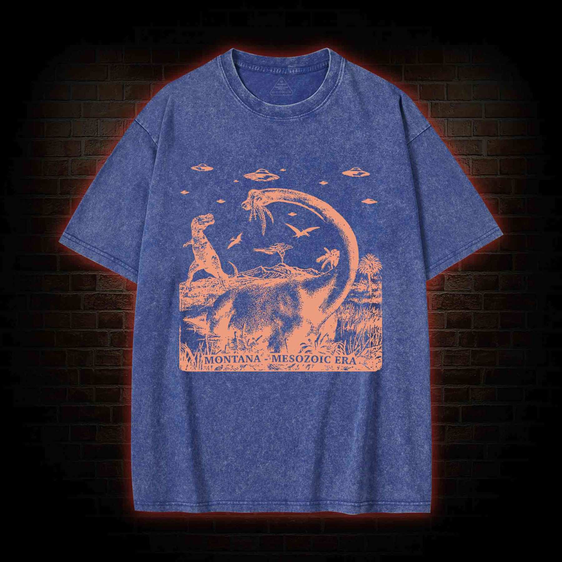 Montana Mesozoic Era Washed T-shirt