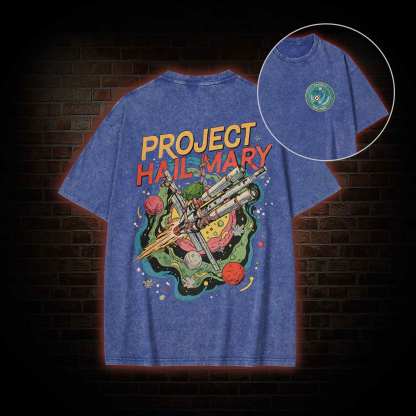 Amaze! Washed T-shirt