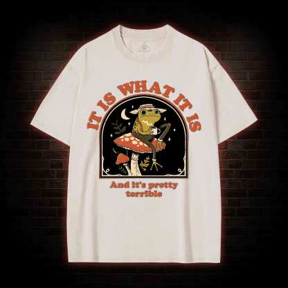 It Is What It Is Washed T-shirt