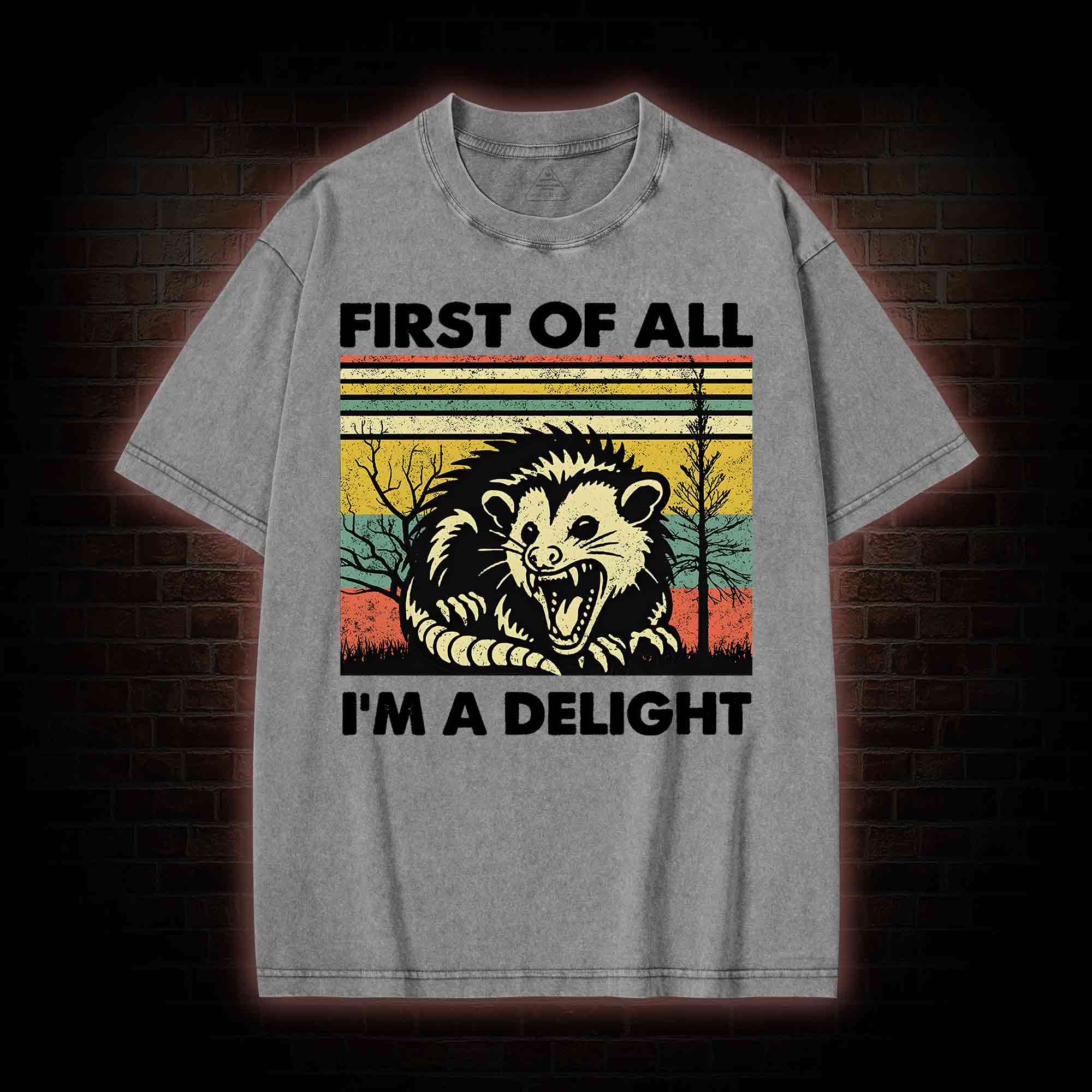 I'm A Delight Washed T-shirt