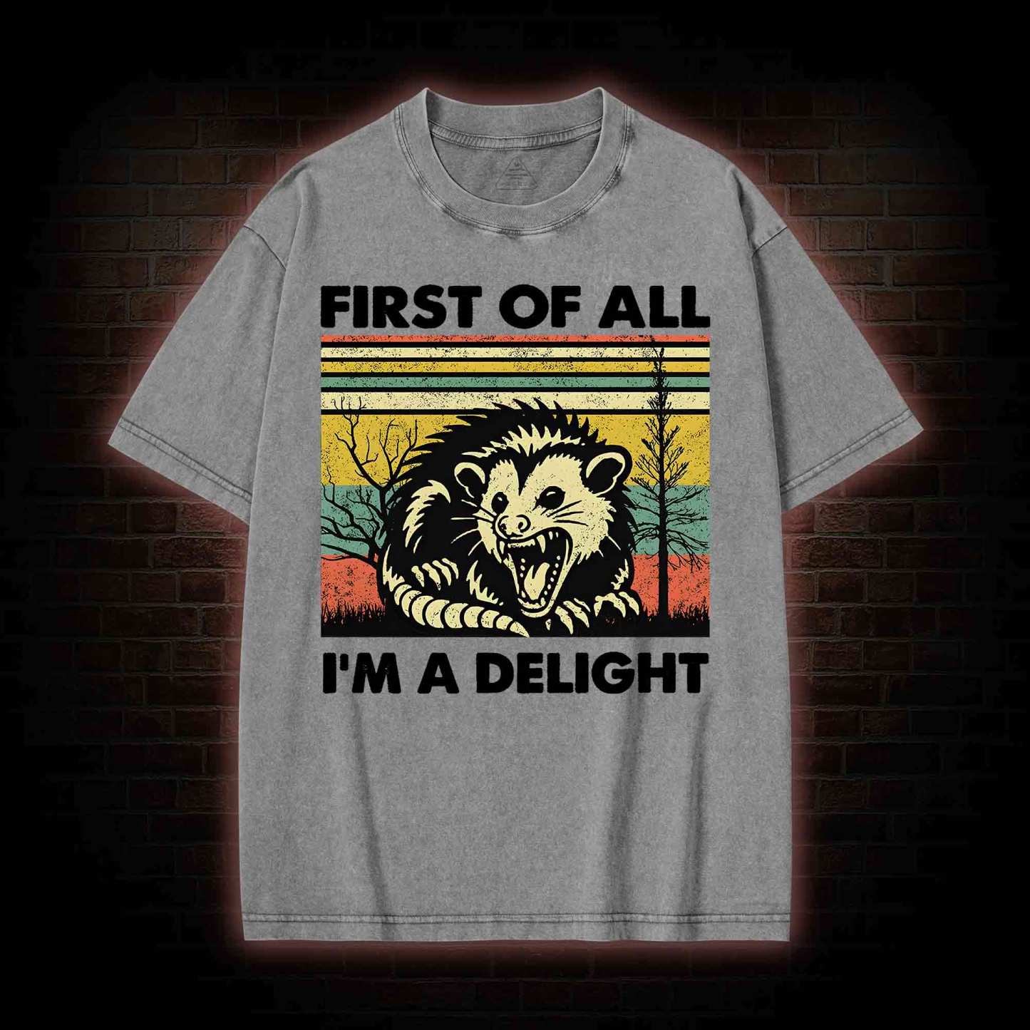 I'm A Delight Washed T-shirt