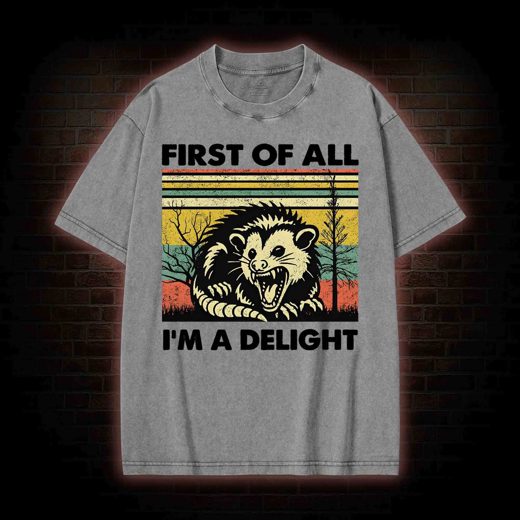 I'm A Delight Washed T-shirt