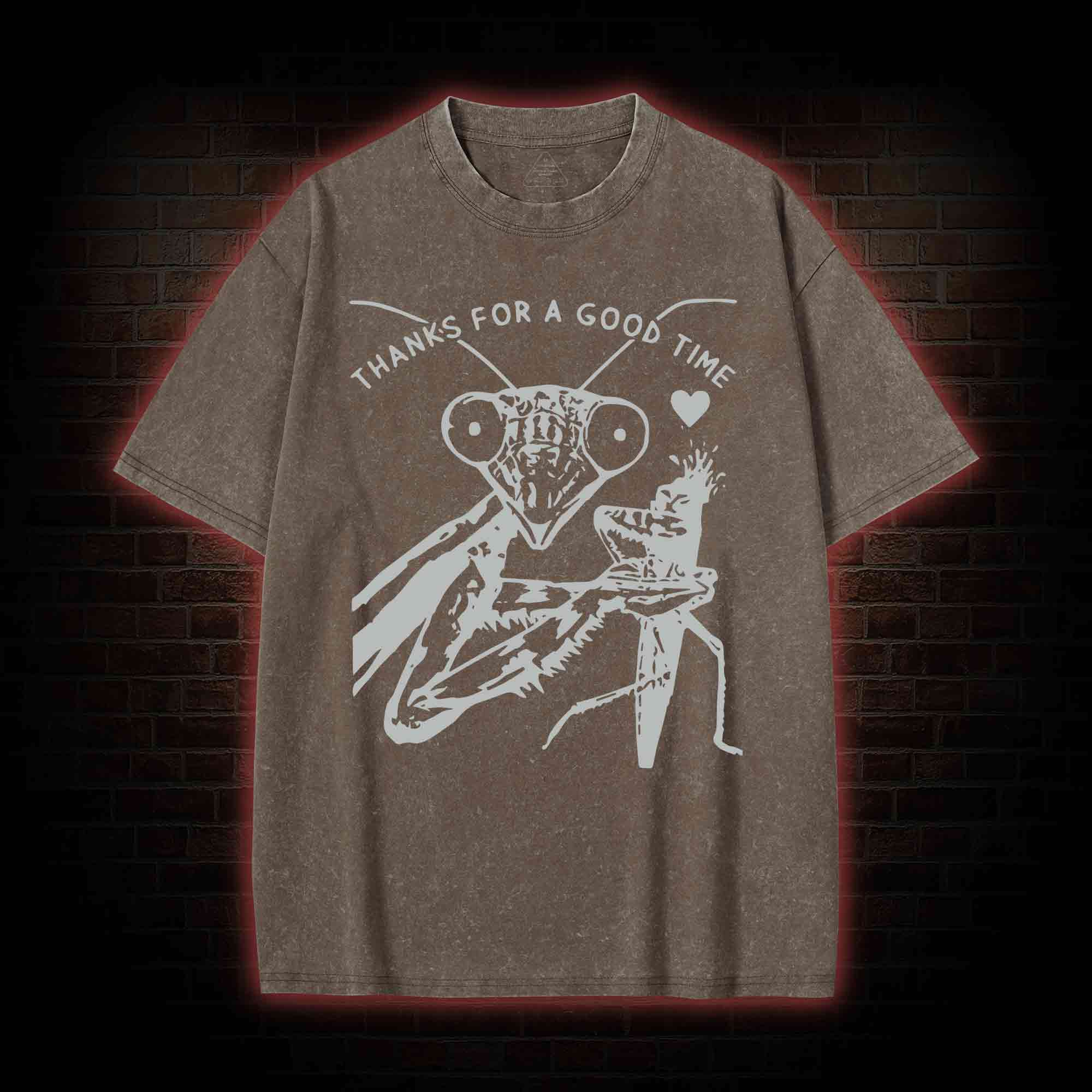 Thanks For A Good Time Washed T-shirt