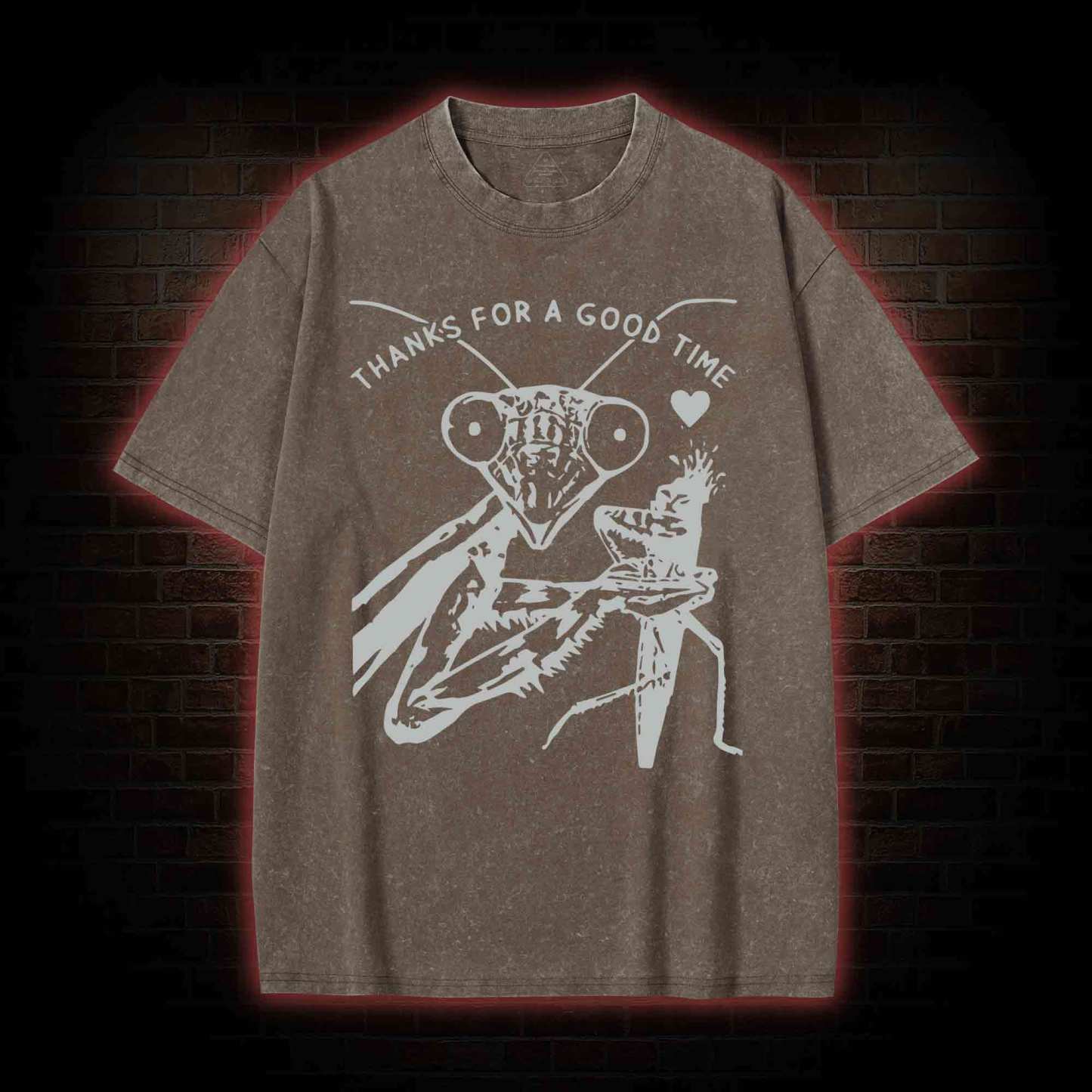 Thanks For A Good Time Washed T-shirt