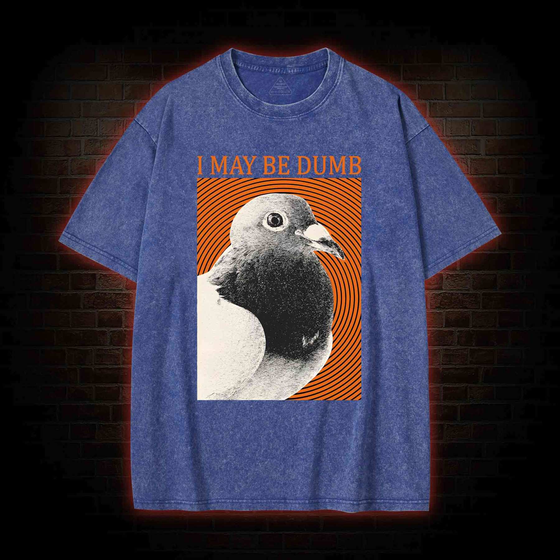 I May Be Dumb Washed T-shirt