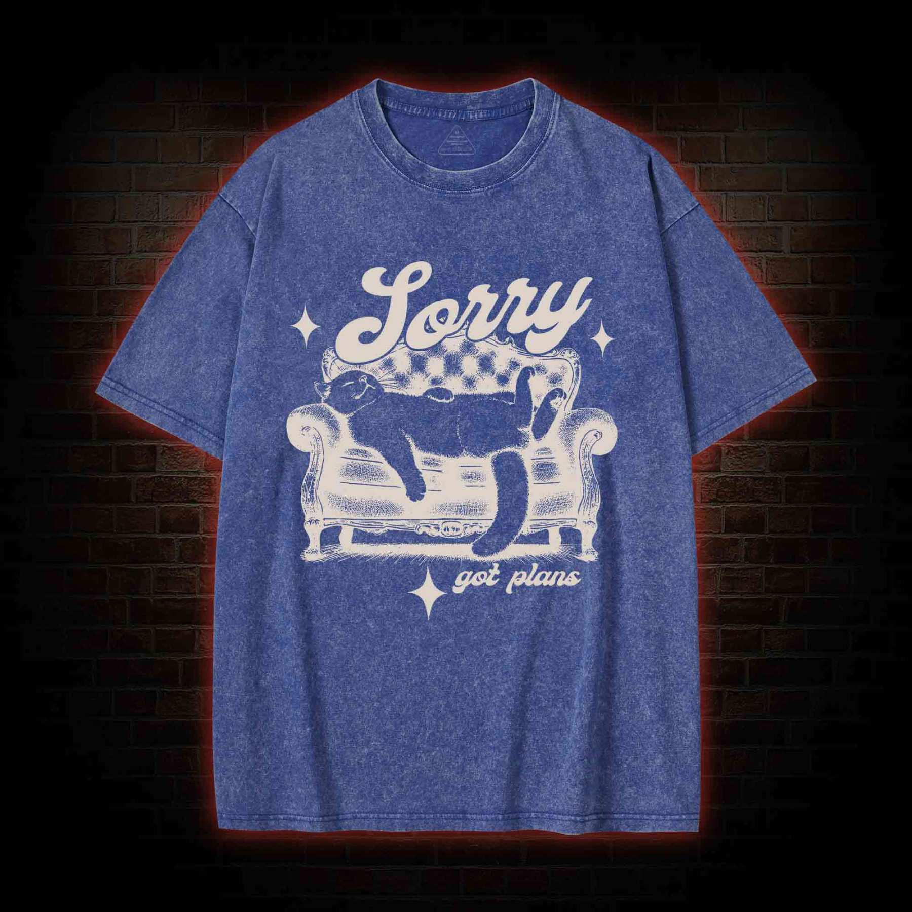 Sorry Got Plan Washed T-shirt