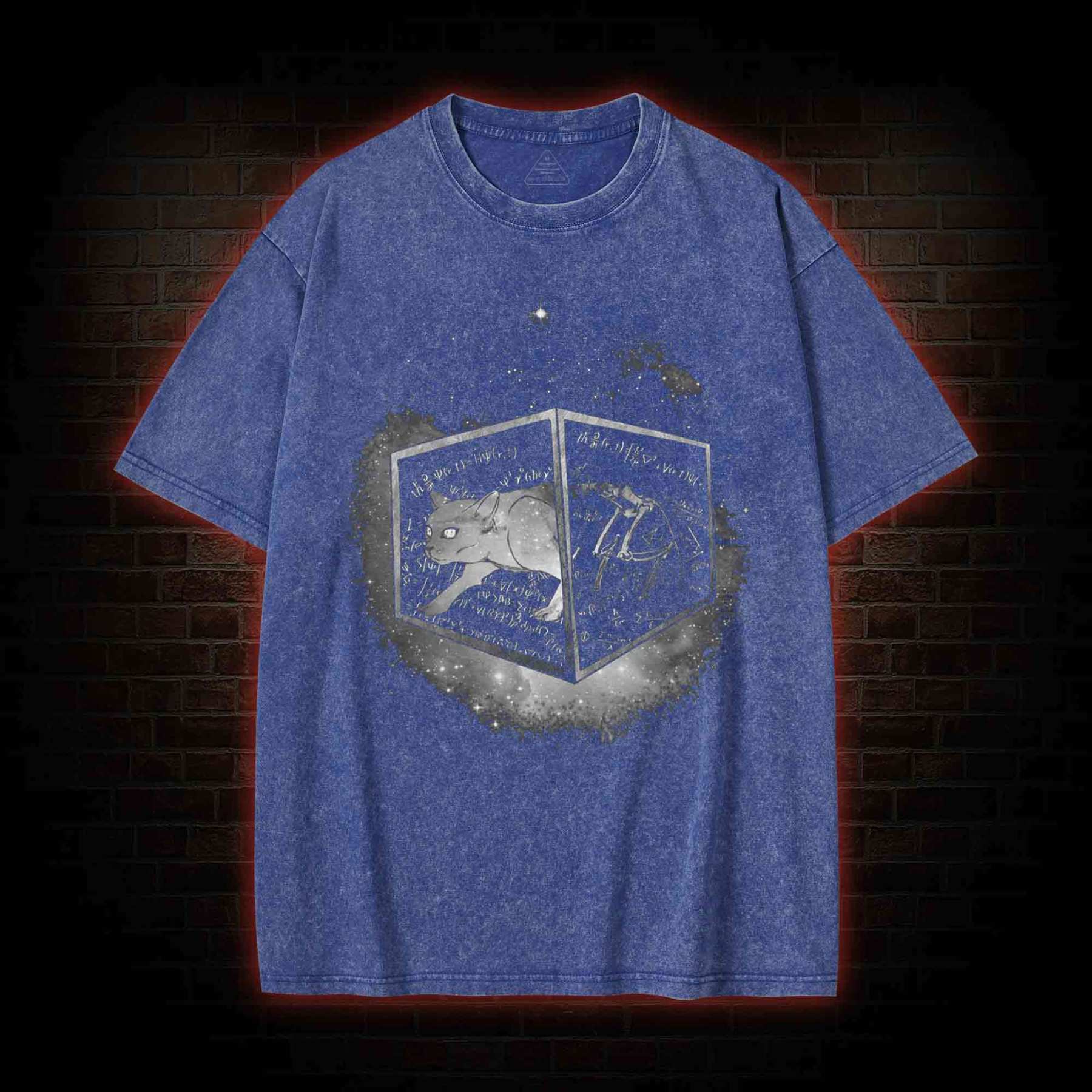 Schrodinger's Cat Washed T-shirt