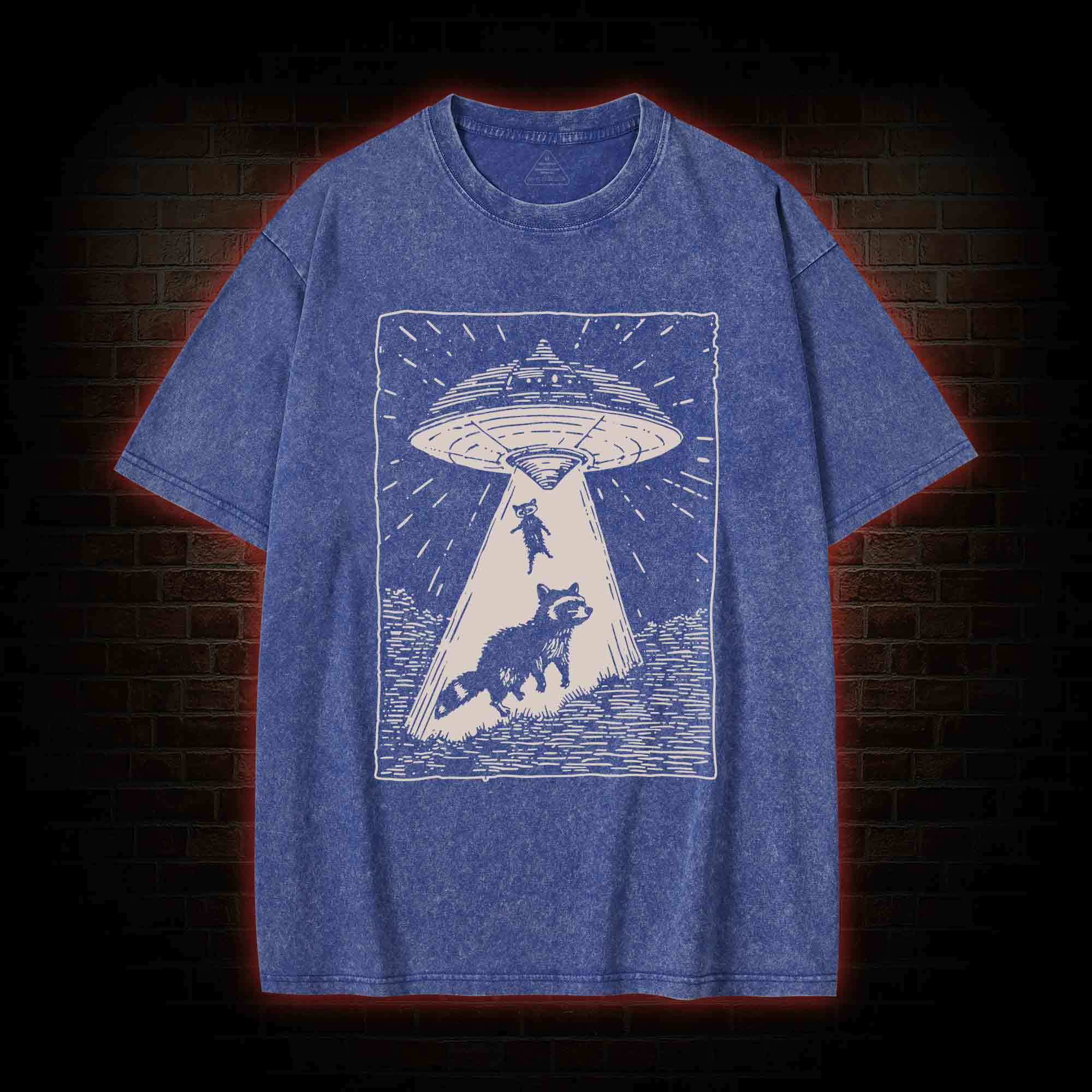 UFO and Raccoons Washed T-shirt