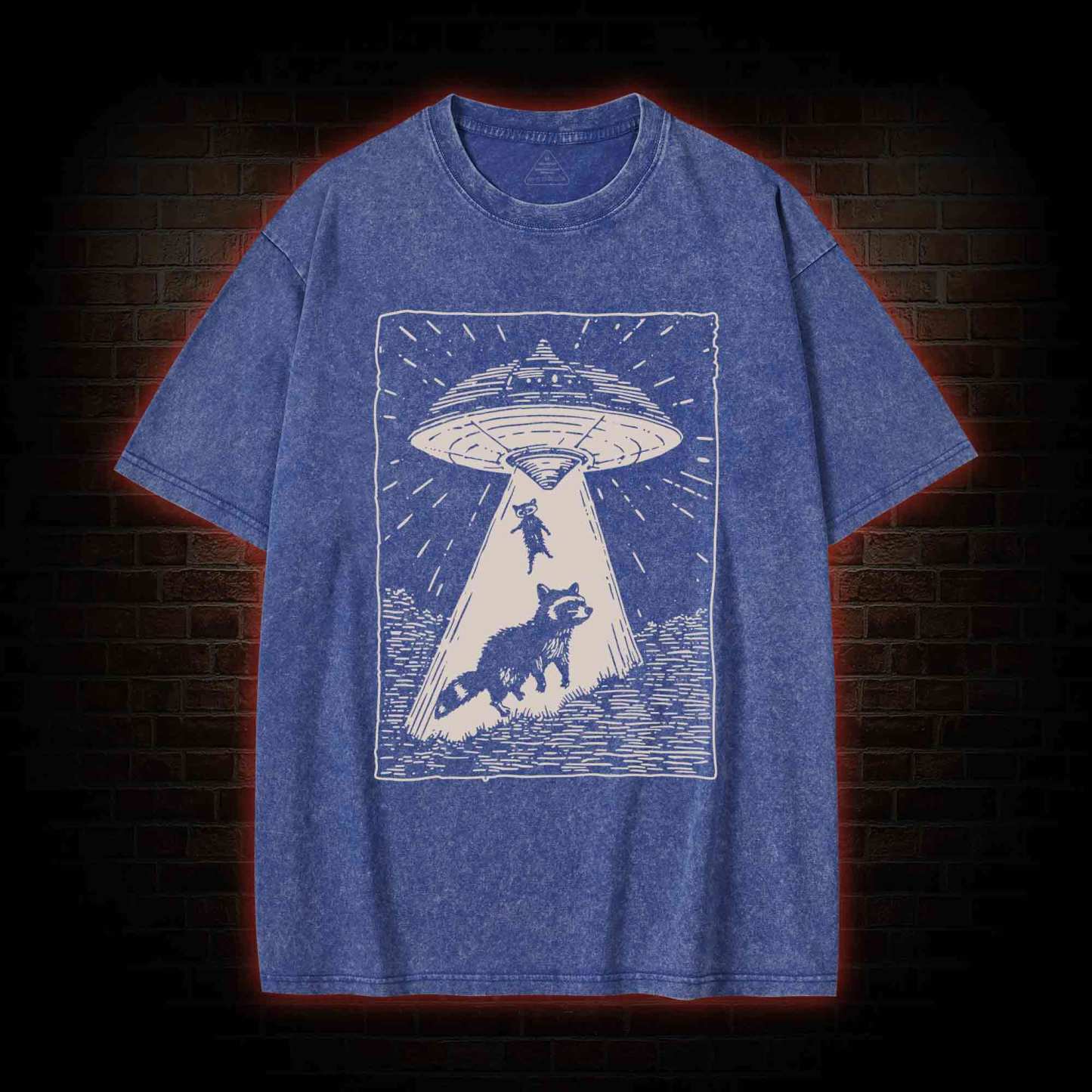 UFO and Raccoons Washed T-shirt