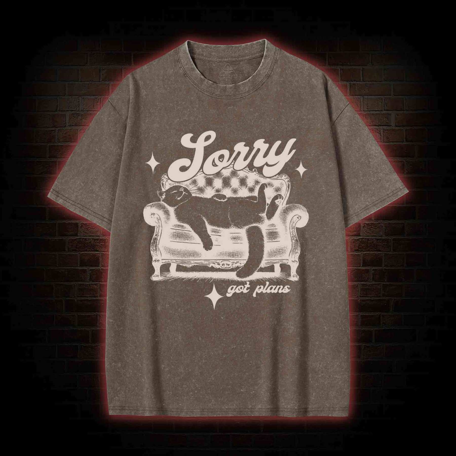 Sorry Got Plan Washed T-shirt