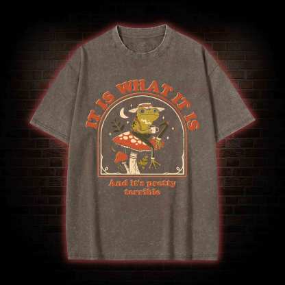 It Is What It Is Washed T-shirt