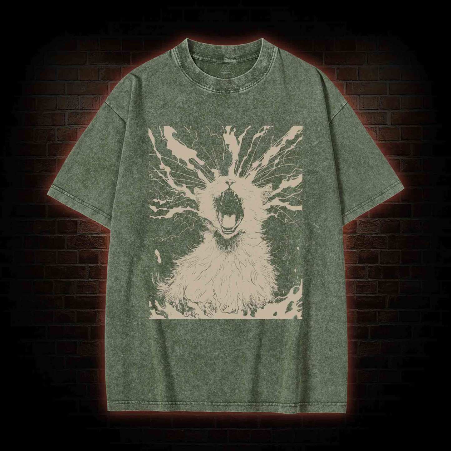 Black Cat Aether Washed T-shirt