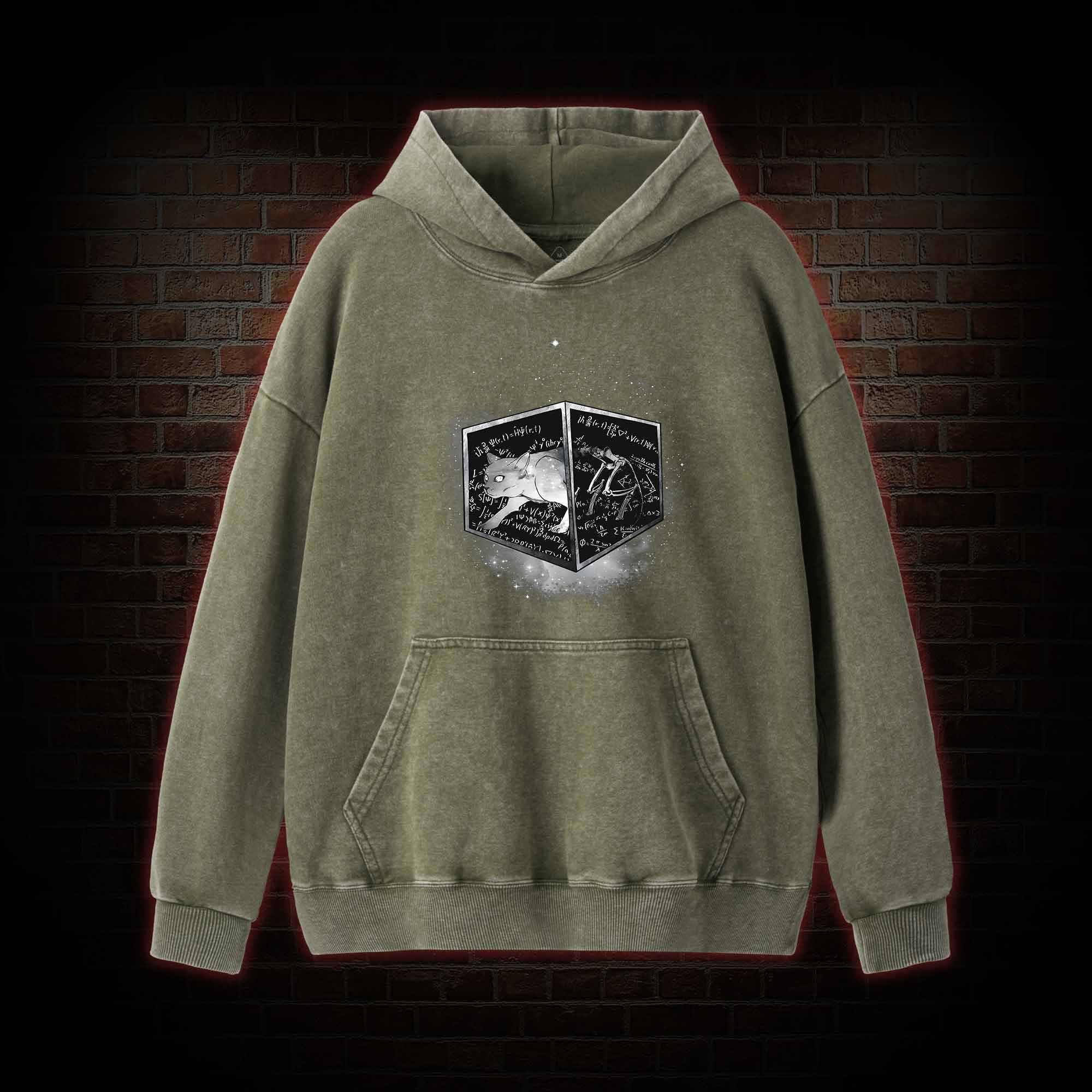 Schrodinger's Cat Washed Hoodie