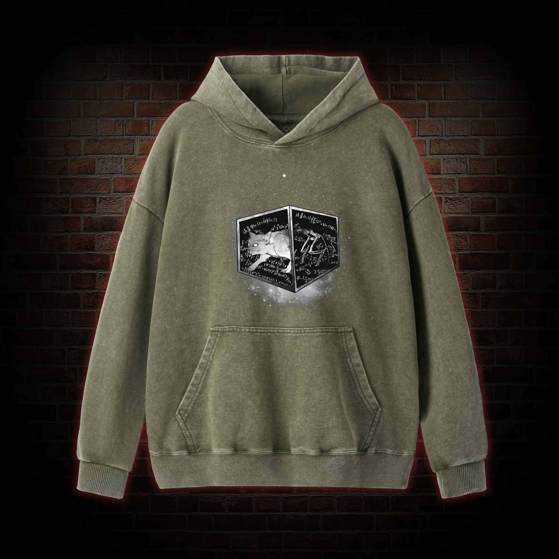 Schrodinger's Cat Washed Hoodie