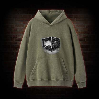 Schrodinger's Cat Washed Hoodie