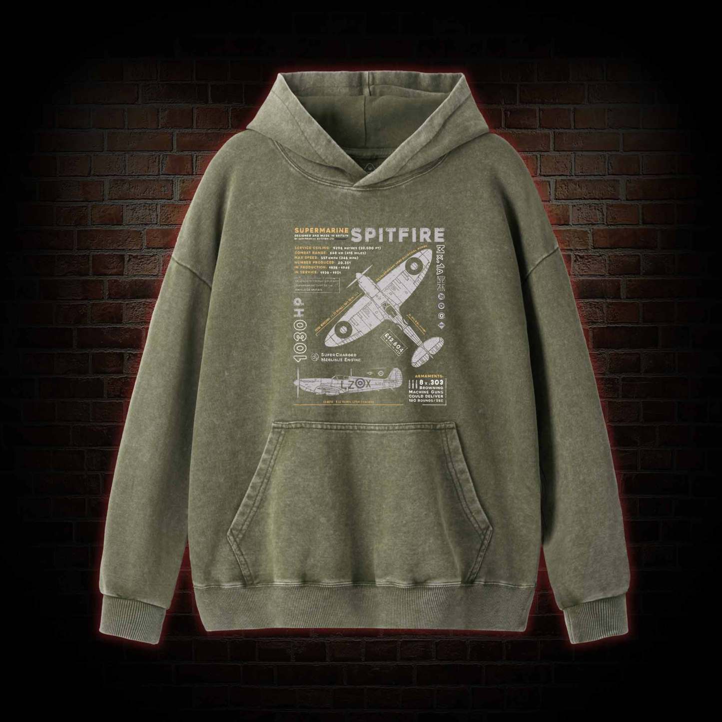 Royal Air Force Marlin Figher Washed Hoodie