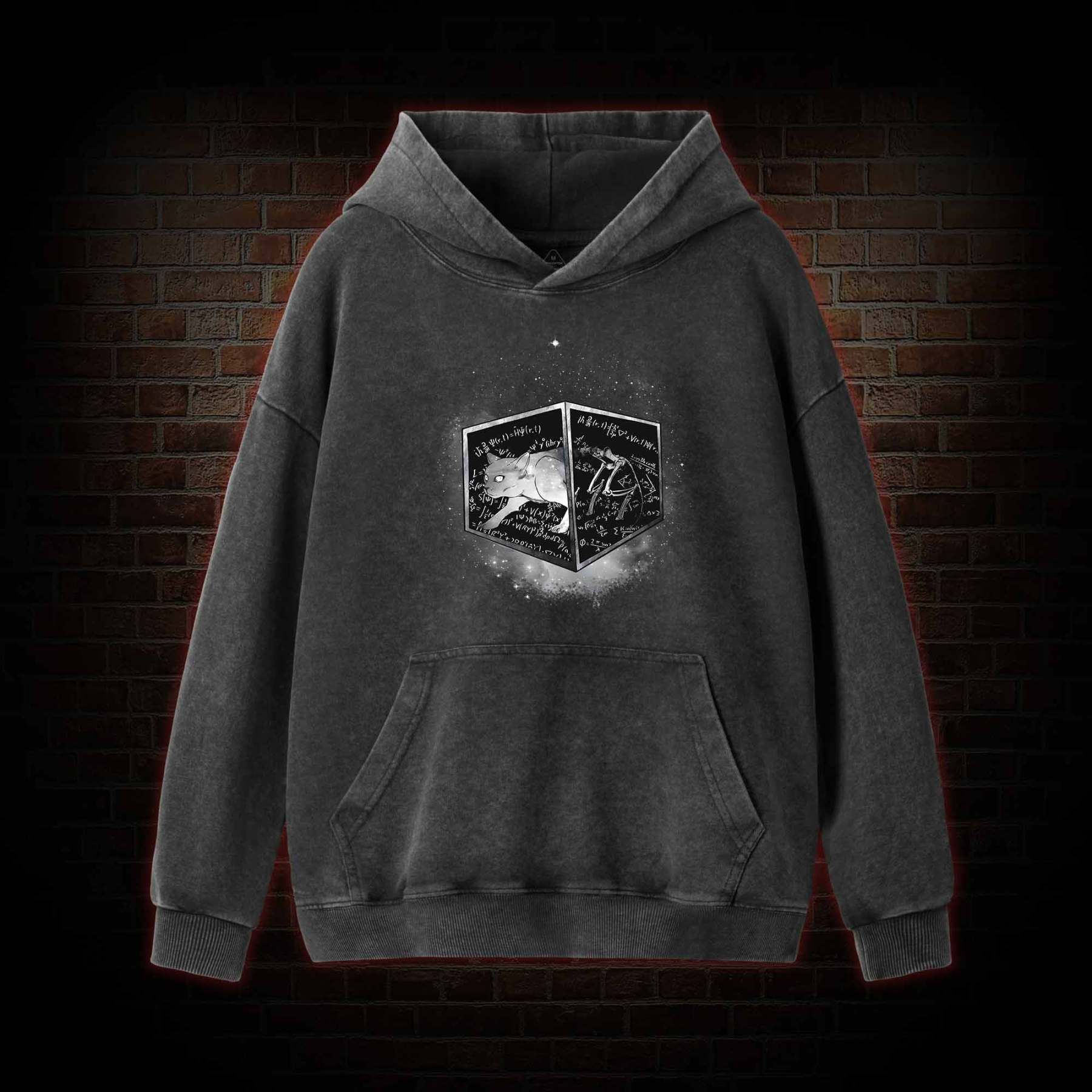 Schrodinger's Cat Washed Hoodie