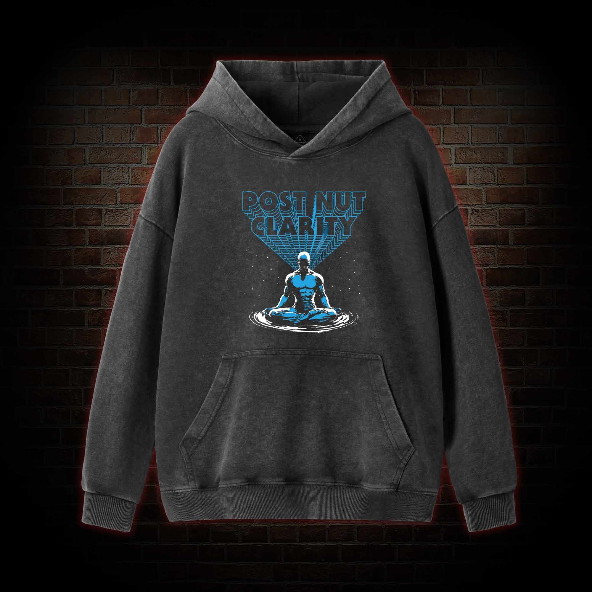 Post Nut Clarity Washed Hoodie
