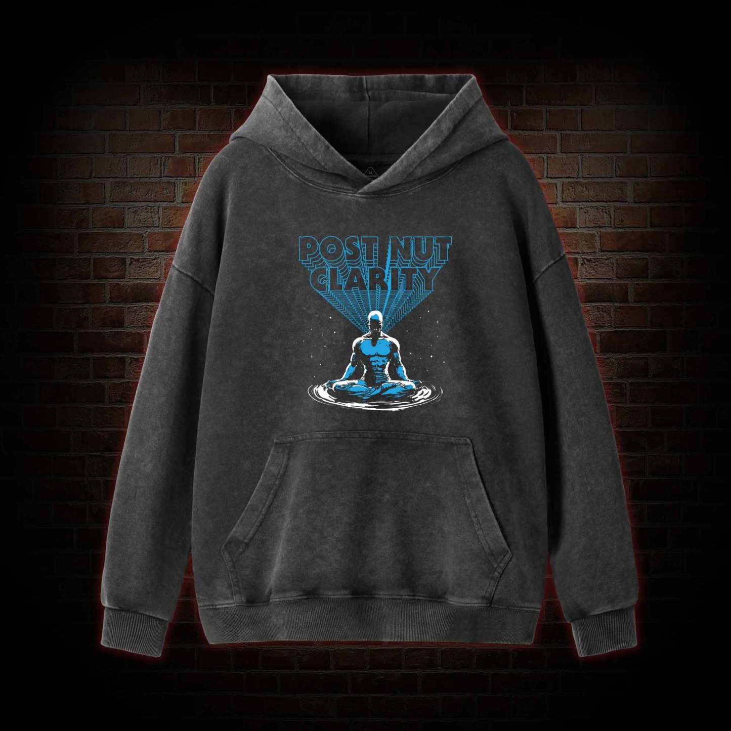 Post Nut Clarity Washed Hoodie
