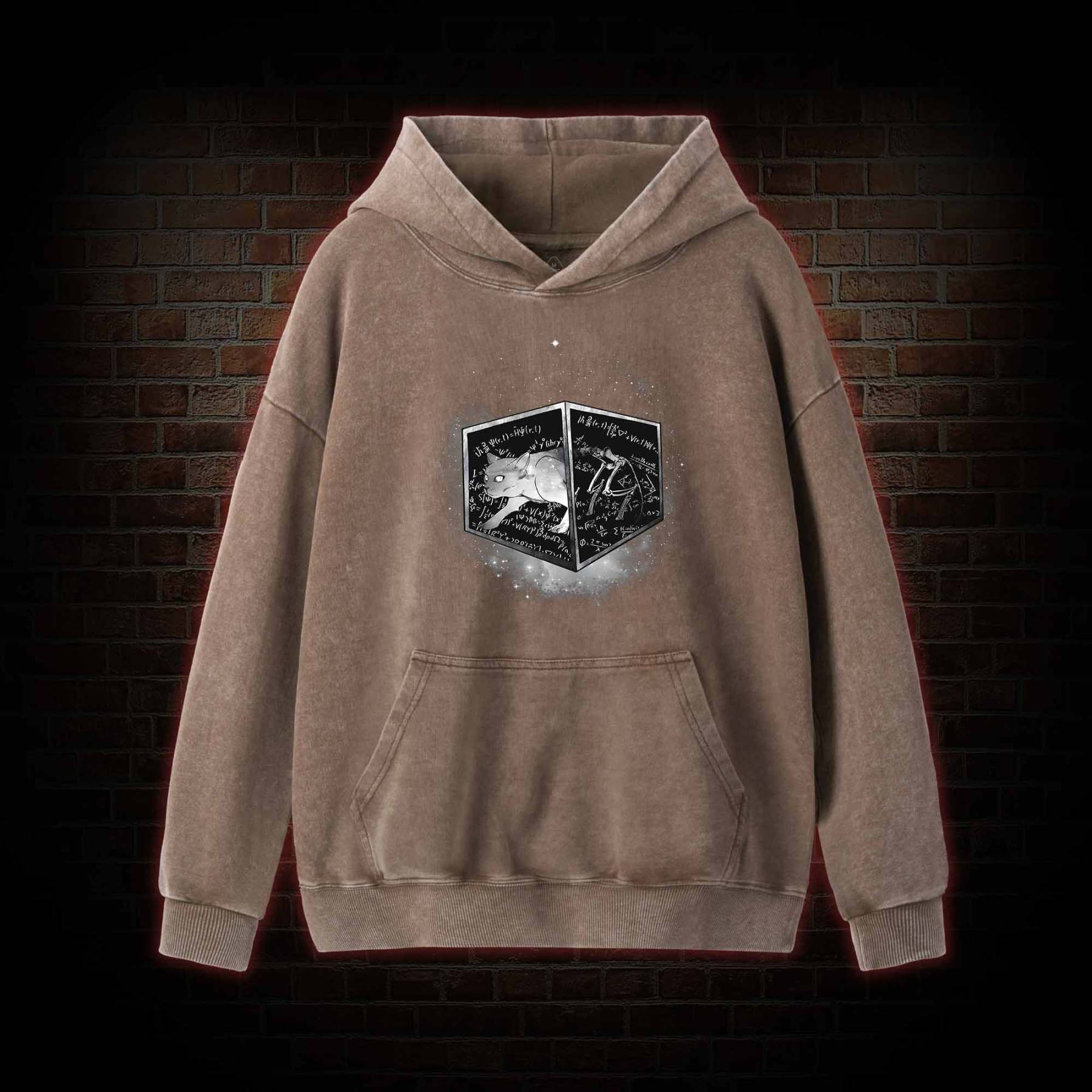 Schrodinger's Cat Washed Hoodie