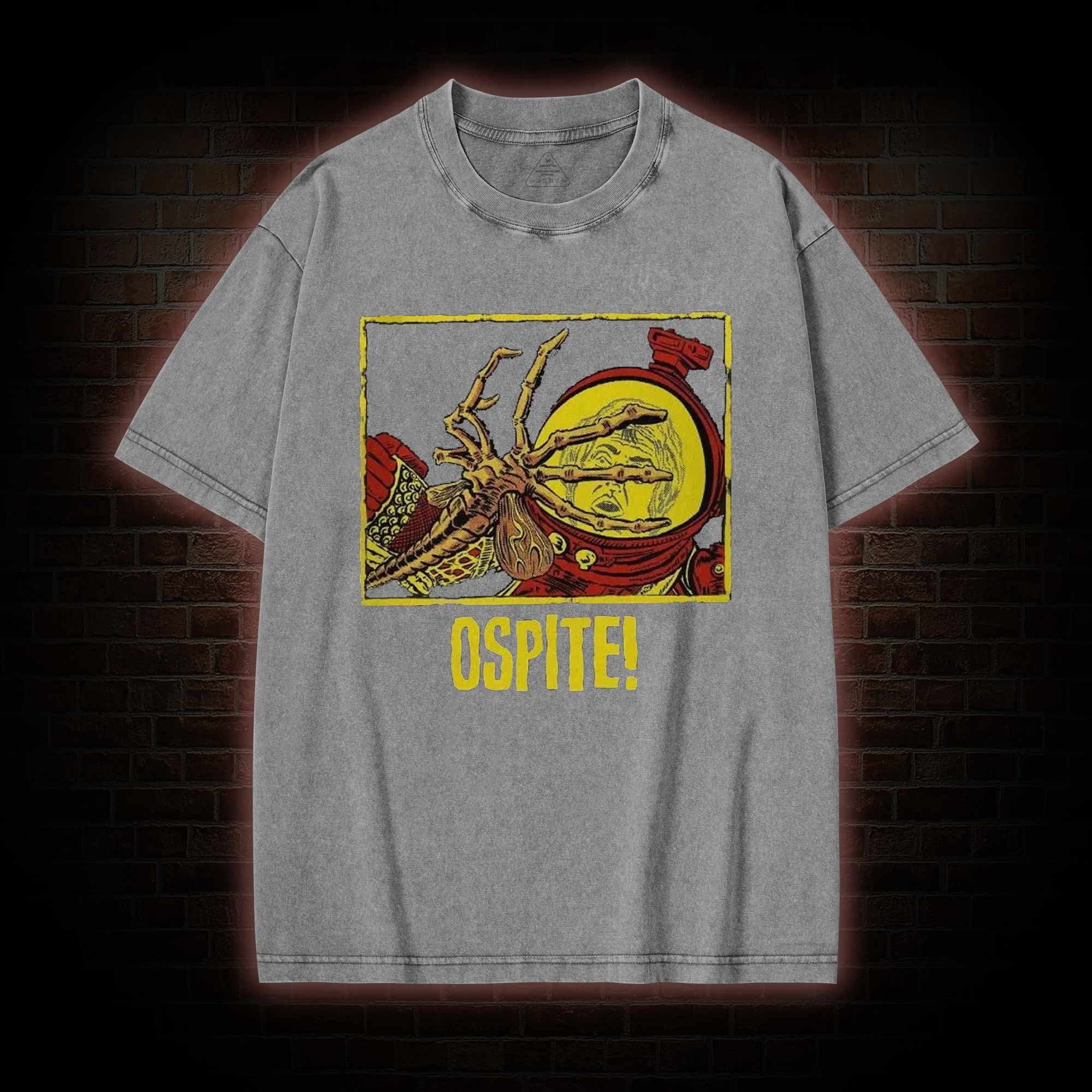 Ospite! Washed T-shirt