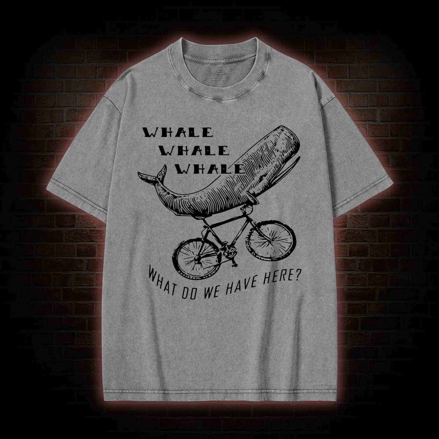 What Do We Have Here? Washed T-shirt