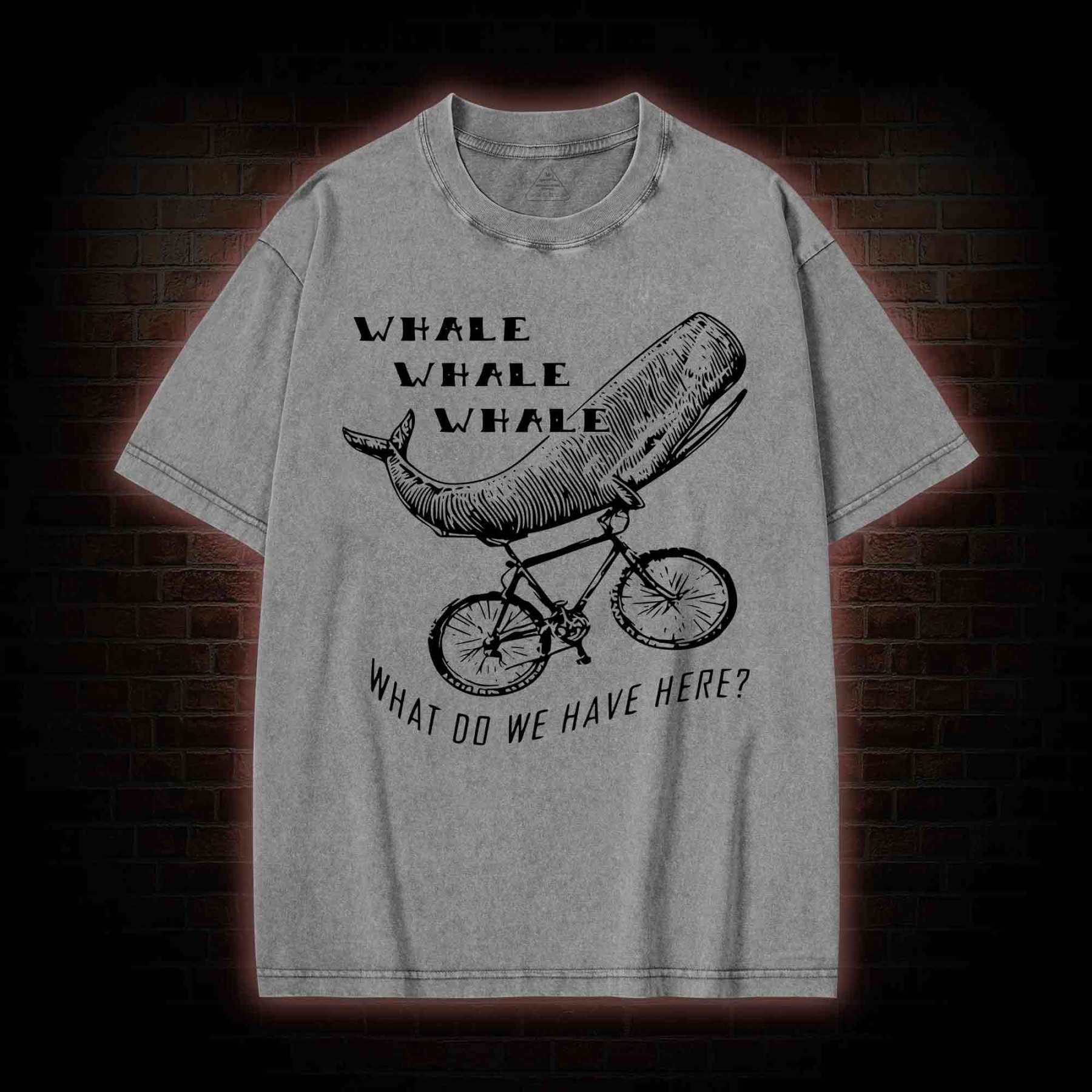 What Do We Have Here? Washed T-shirt